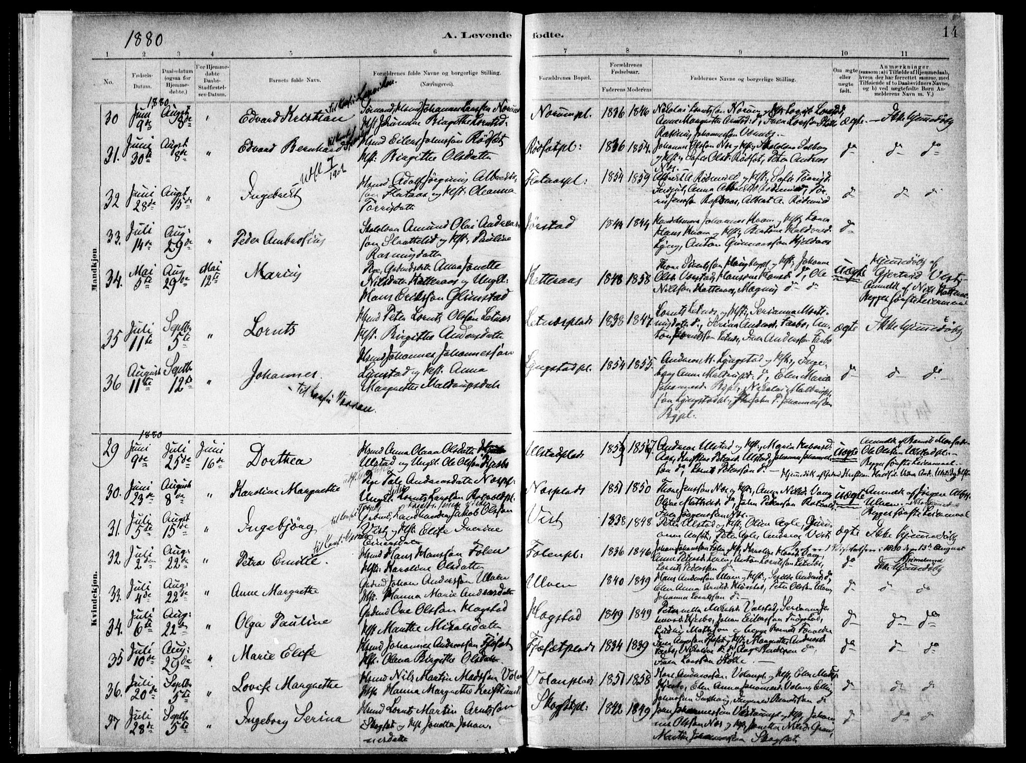 Ministerialprotokoller, klokkerbøker og fødselsregistre - Nord-Trøndelag, SAT/A-1458/730/L0285: Ministerialbok nr. 730A10, 1879-1914, s. 14