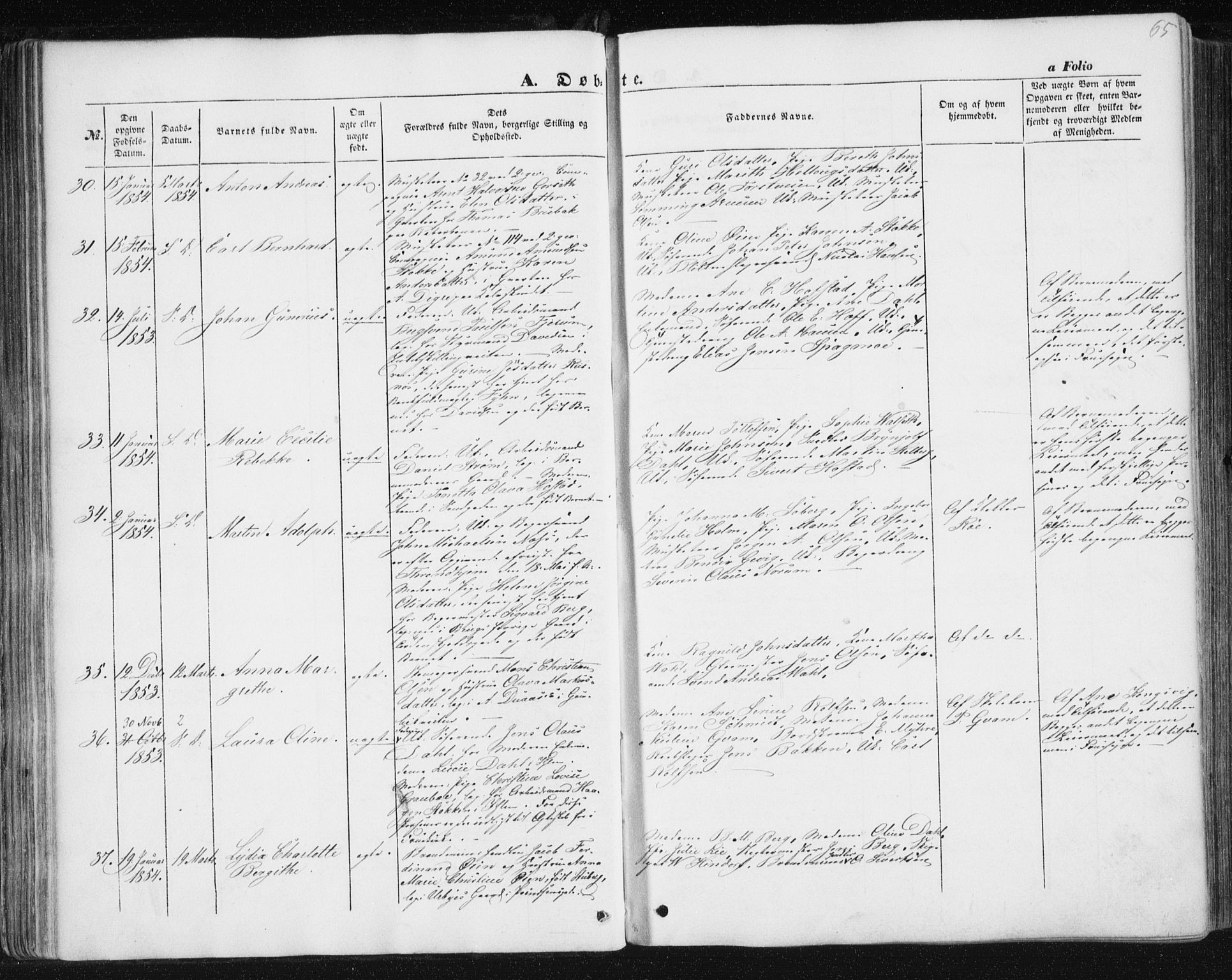 Ministerialprotokoller, klokkerbøker og fødselsregistre - Sør-Trøndelag, SAT/A-1456/602/L0112: Ministerialbok nr. 602A10, 1848-1859, s. 65