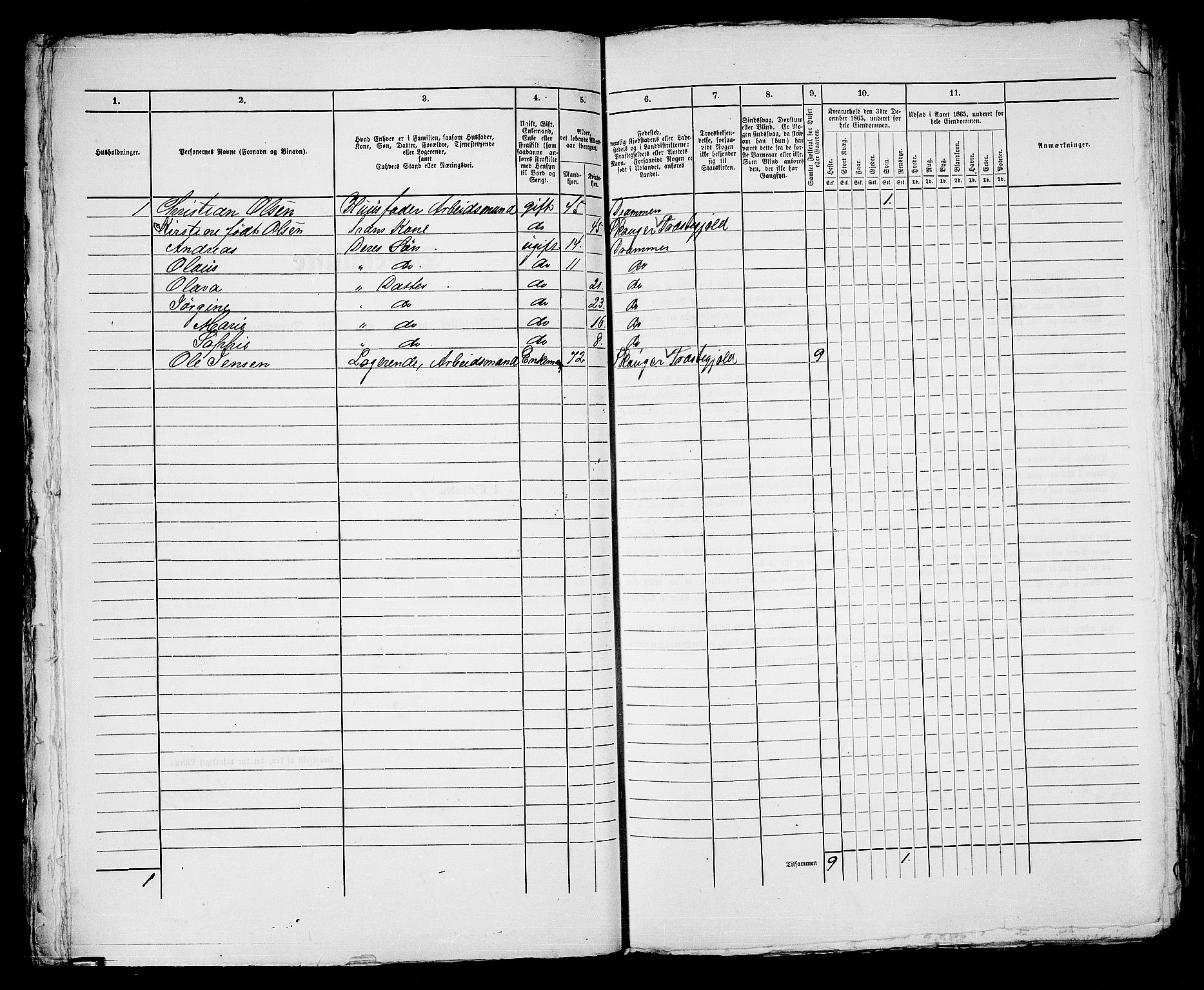 RA, Folketelling 1865 for 0602bP Strømsø prestegjeld i Drammen kjøpstad, 1865, s. 702