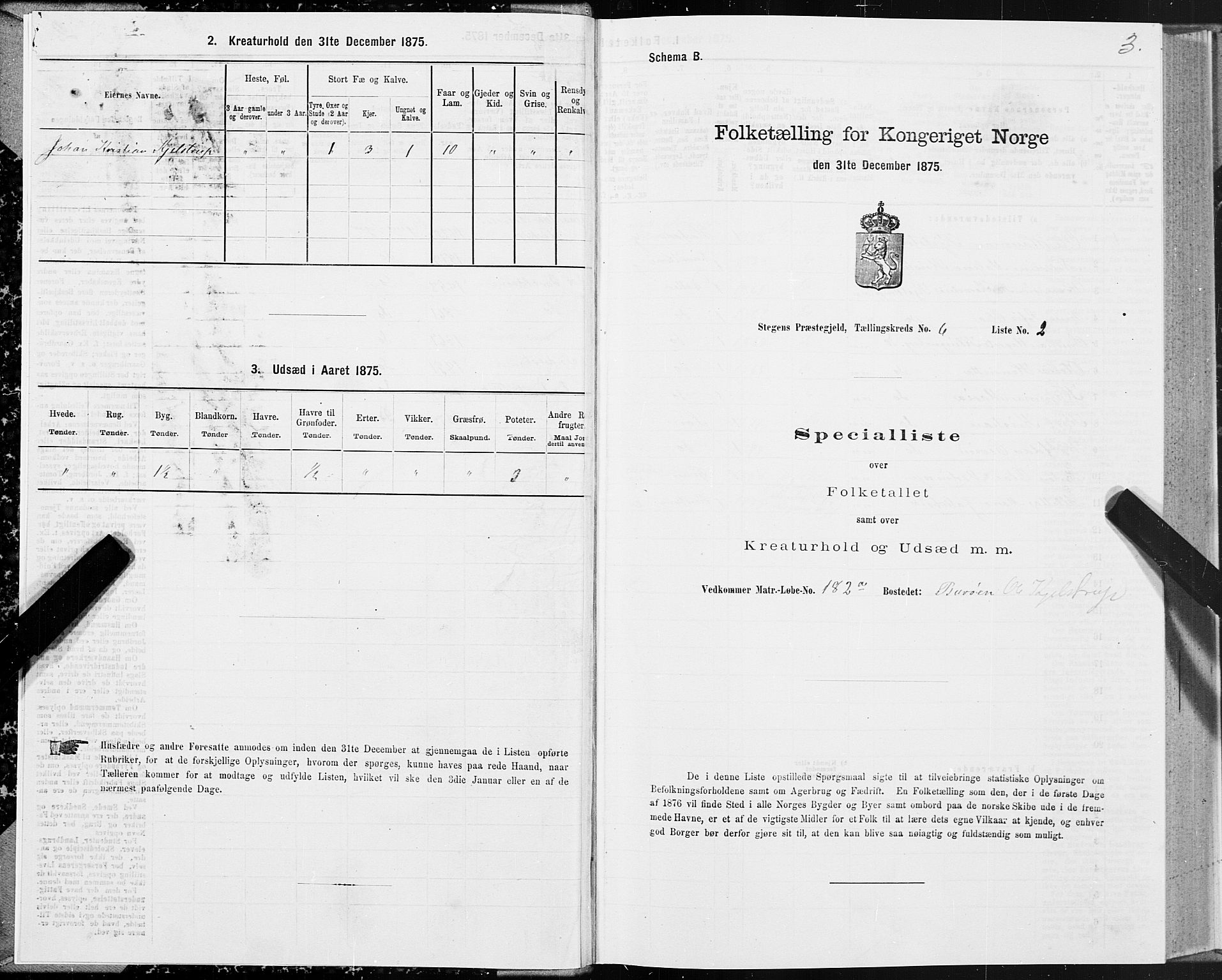 SAT, Folketelling 1875 for 1848P Steigen prestegjeld, 1875, s. 3003