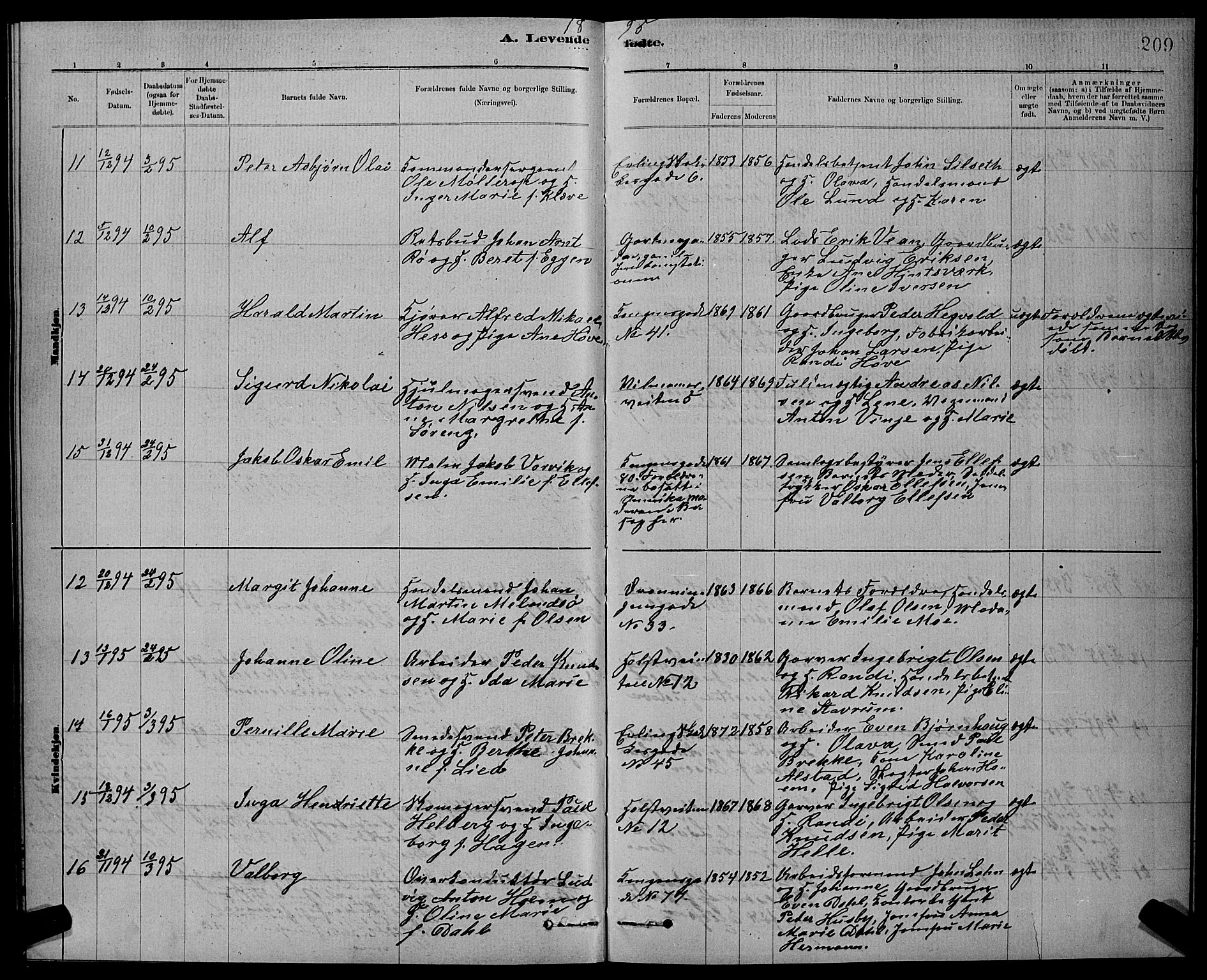 Ministerialprotokoller, klokkerbøker og fødselsregistre - Sør-Trøndelag, SAT/A-1456/601/L0092: Klokkerbok nr. 601C10, 1884-1897, s. 209