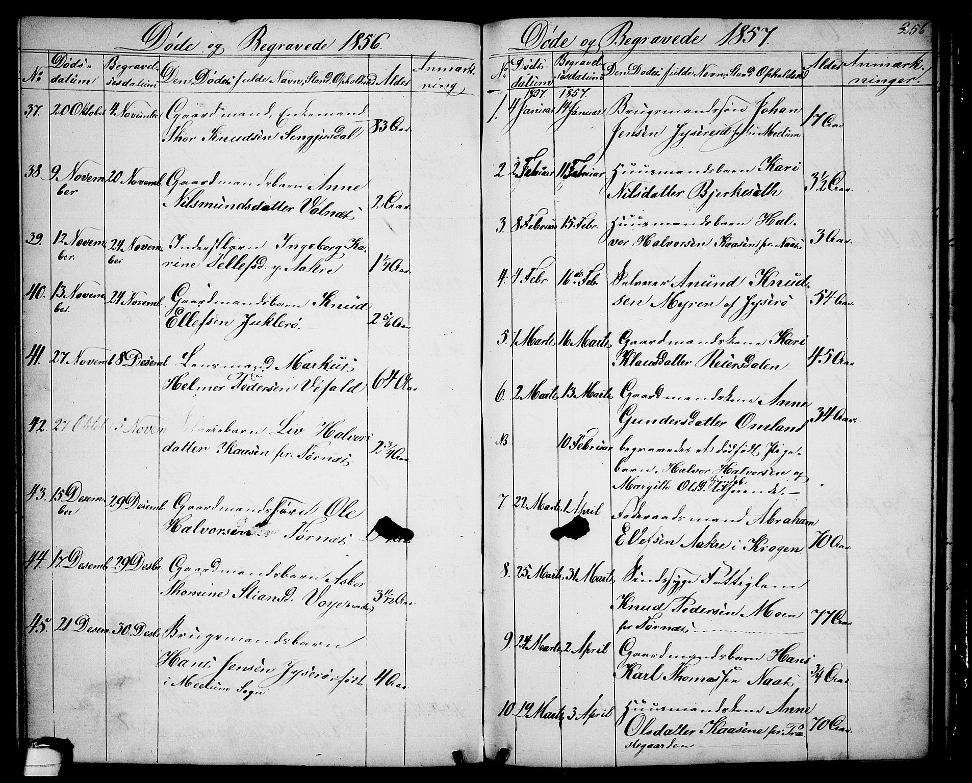 Drangedal kirkebøker, AV/SAKO-A-258/G/Ga/L0002: Klokkerbok nr. I 2, 1856-1887, s. 256