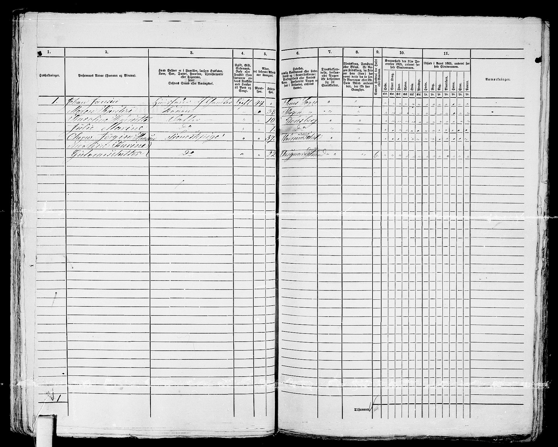 RA, Folketelling 1865 for 0705P Tønsberg prestegjeld, 1865, s. 225