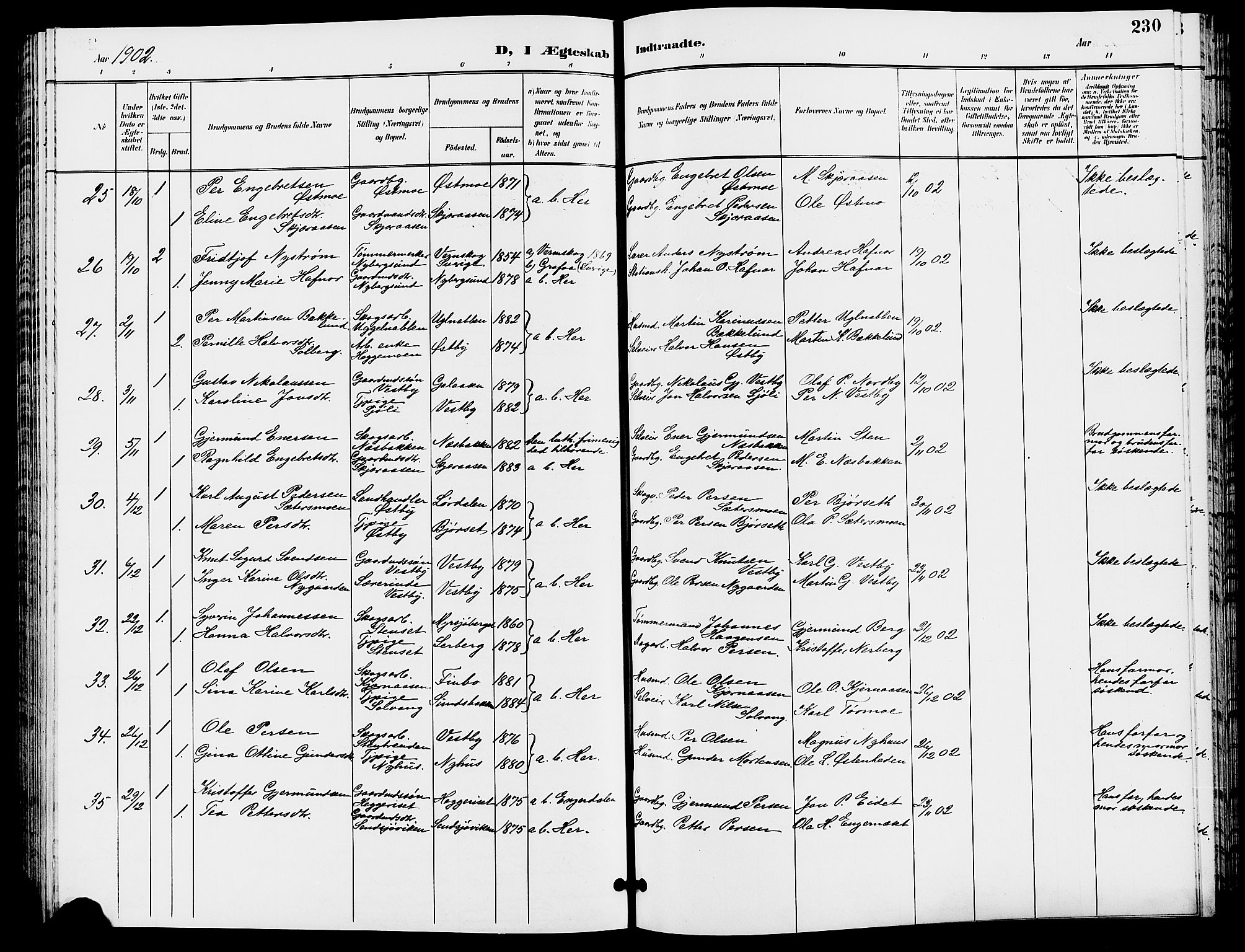 Trysil prestekontor, AV/SAH-PREST-046/H/Ha/Hab/L0006: Klokkerbok nr. 6, 1896-1912, s. 230