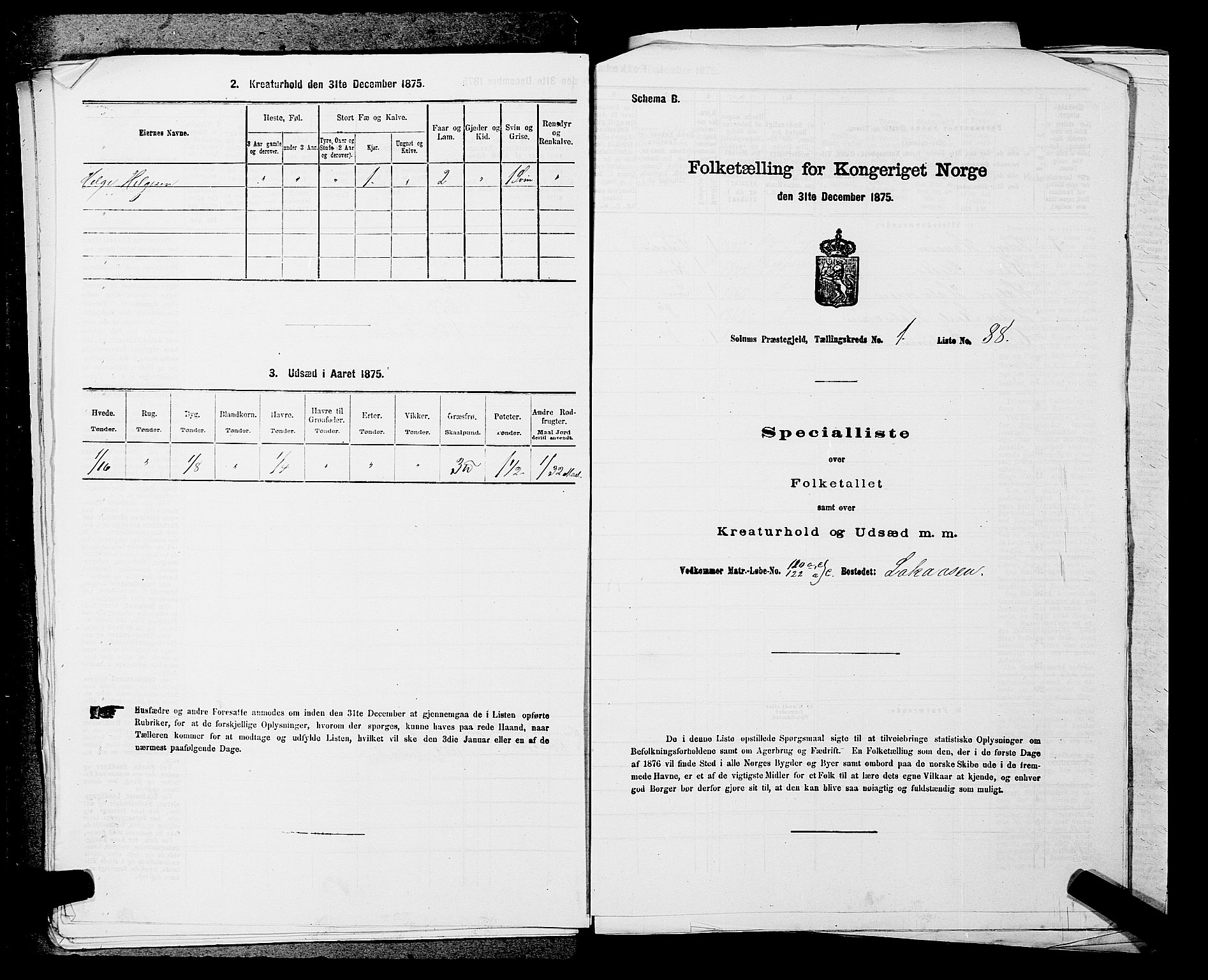 SAKO, Folketelling 1875 for 0818P Solum prestegjeld, 1875, s. 264