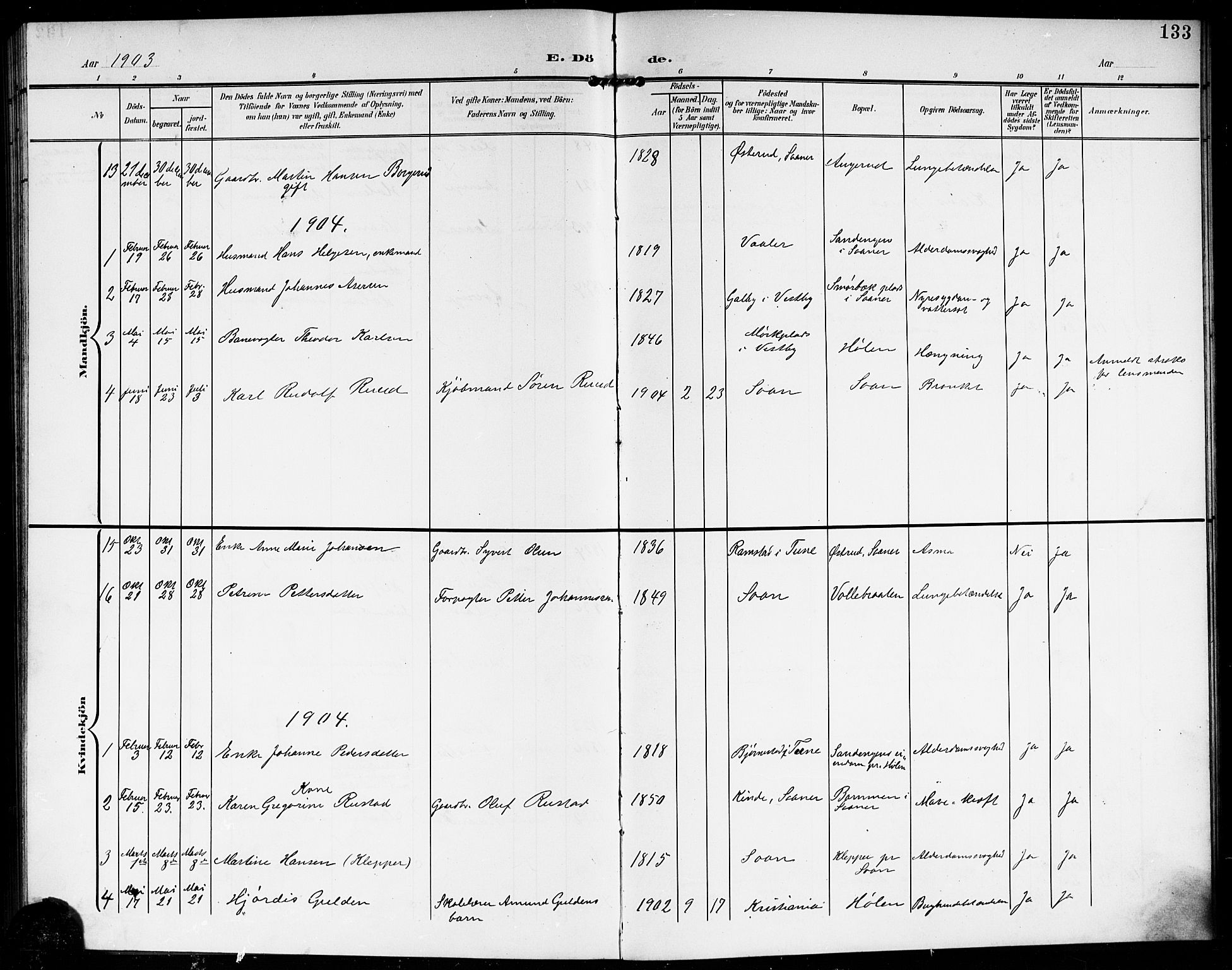 Vestby prestekontor Kirkebøker, AV/SAO-A-10893/G/Gb/L0002: Klokkerbok nr. II 2, 1903-1914, s. 133