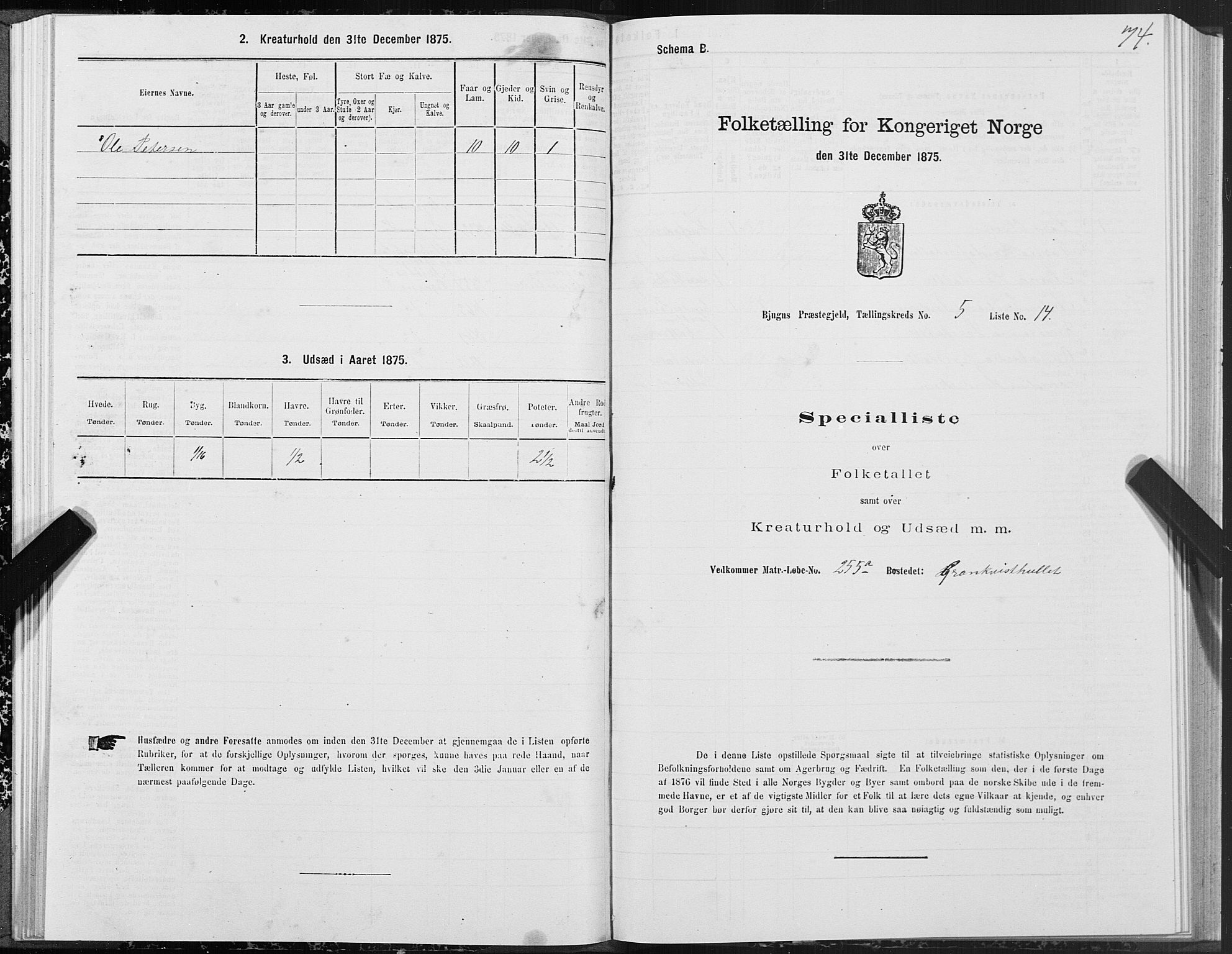 SAT, Folketelling 1875 for 1627P Bjugn prestegjeld, 1875, s. 3074