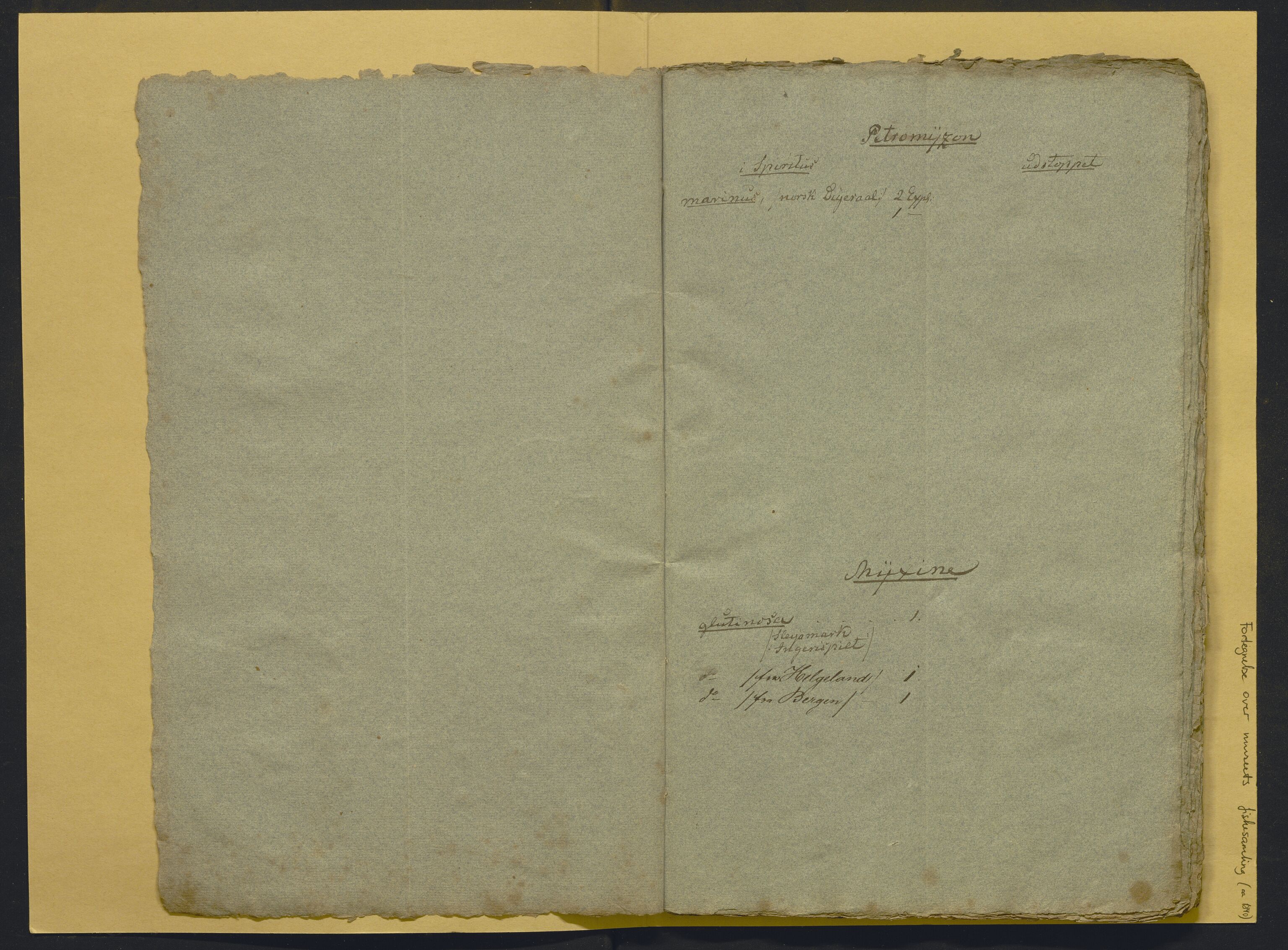 Bergens Museum, AV/SAB-A-17301/02/F/L0001: Kataloger over gjenstander og pergamentbrev , 1825-1880, s. 491