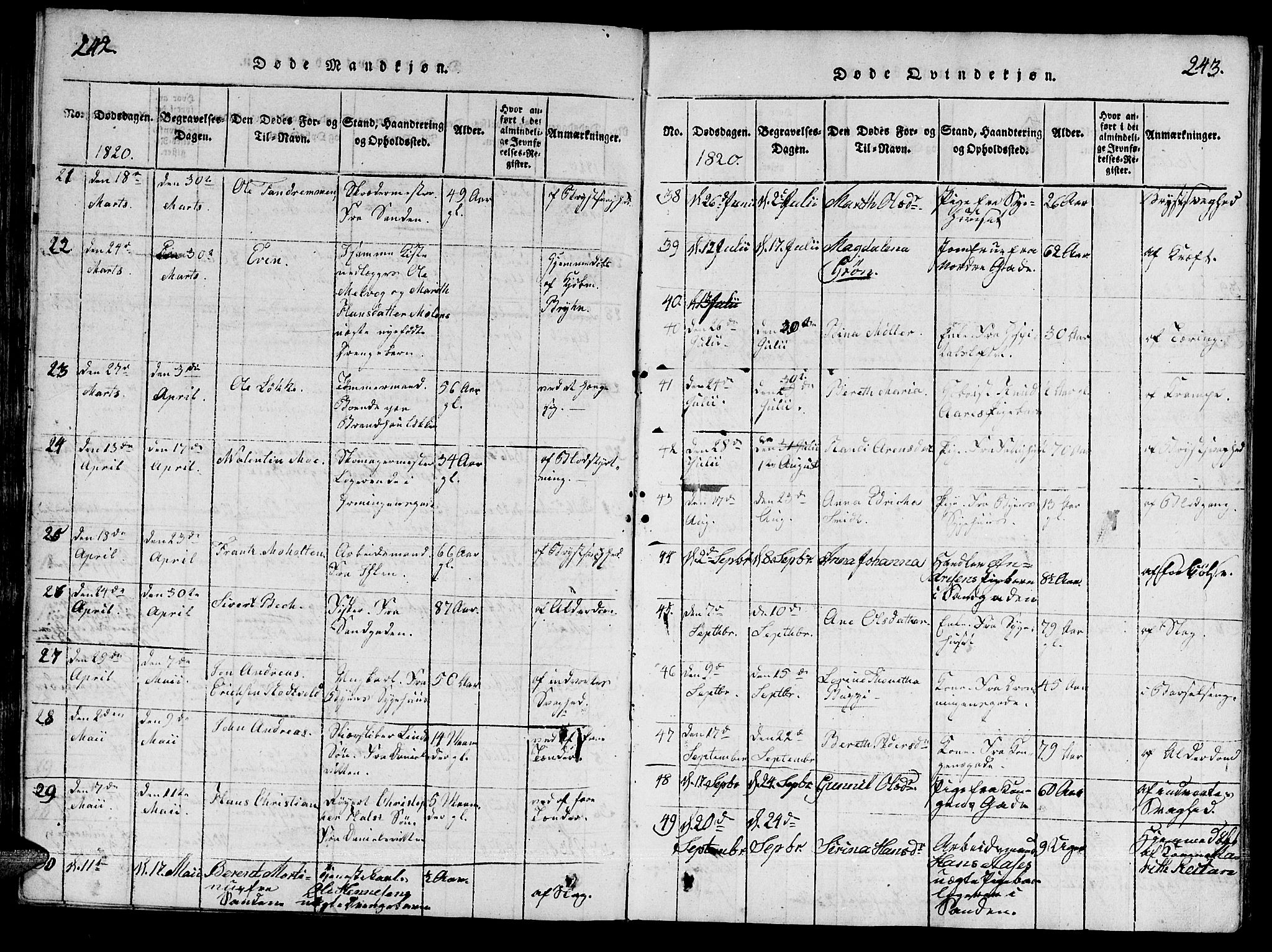 Ministerialprotokoller, klokkerbøker og fødselsregistre - Sør-Trøndelag, SAT/A-1456/601/L0043: Ministerialbok nr. 601A11, 1815-1821, s. 242-243