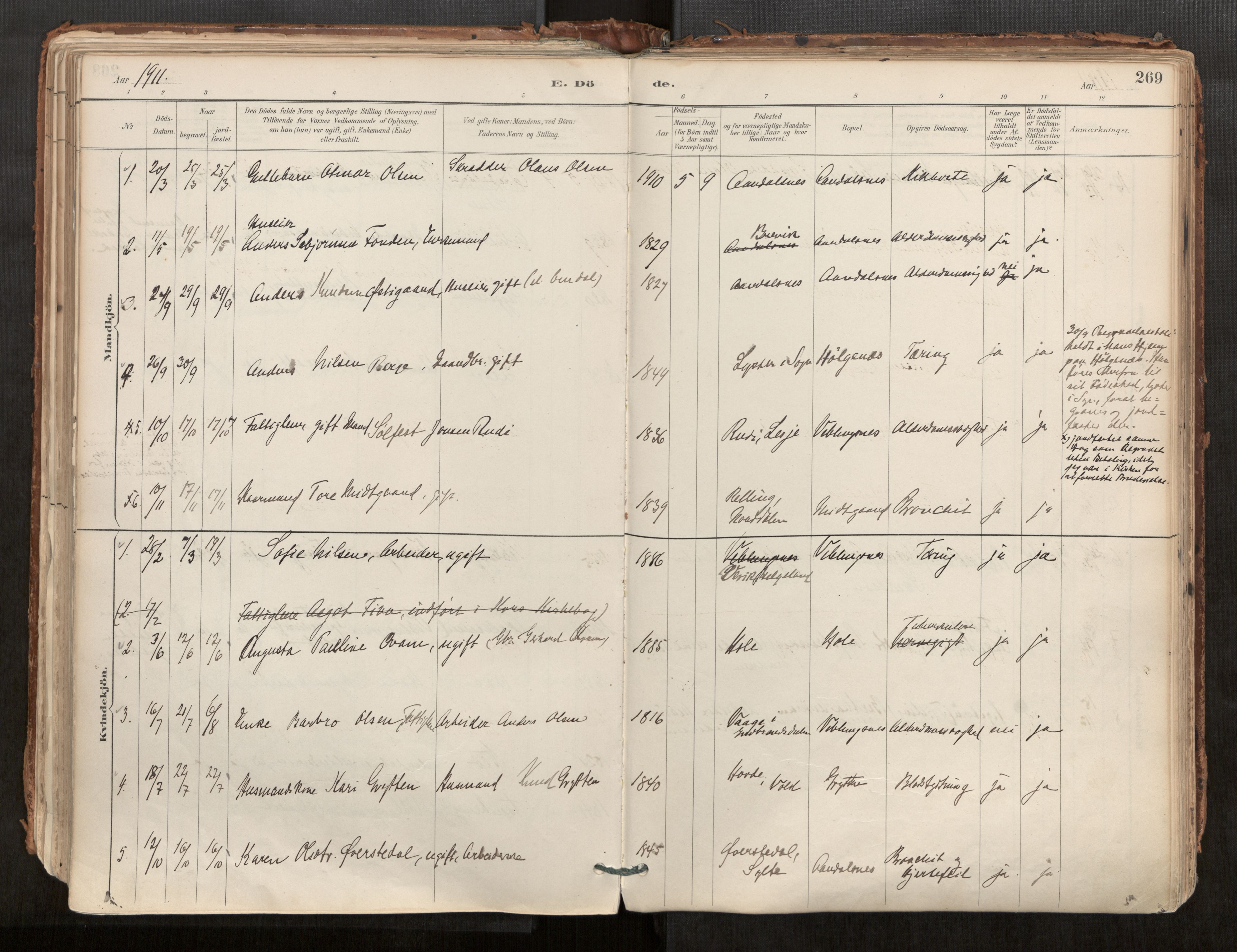 Ministerialprotokoller, klokkerbøker og fødselsregistre - Møre og Romsdal, AV/SAT-A-1454/544/L0585: Ministerialbok nr. 544A06, 1887-1924, s. 269
