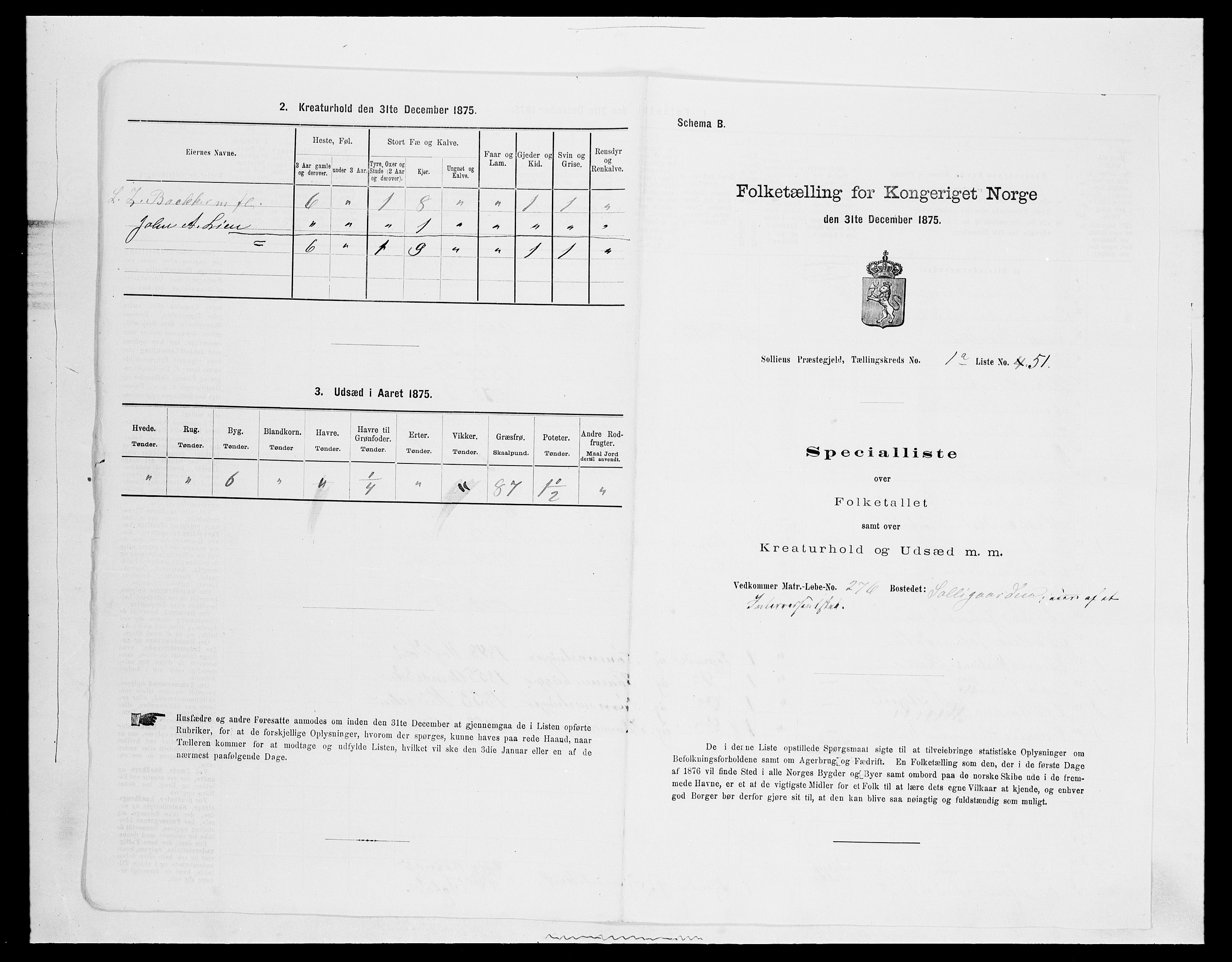 SAH, Folketelling 1875 for 0431P Sollia prestegjeld, 1875, s. 123