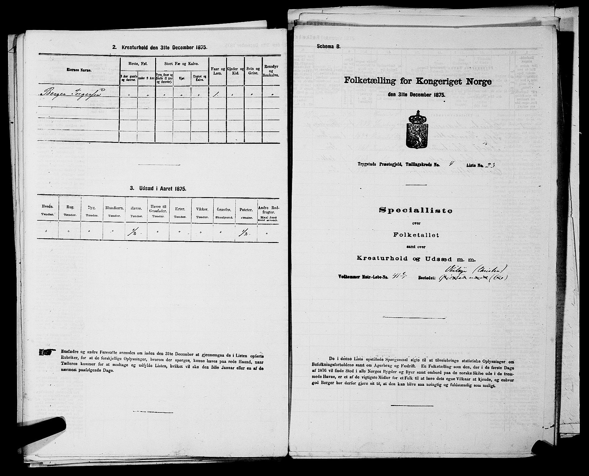 RA, Folketelling 1875 for 0122P Trøgstad prestegjeld, 1875, s. 417