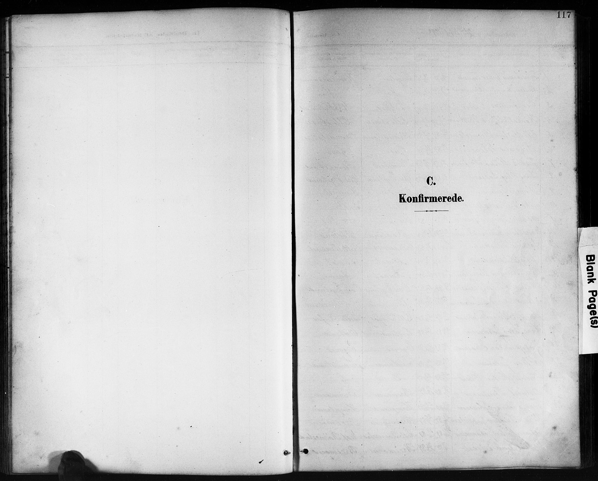 Kvinesdal sokneprestkontor, SAK/1111-0026/F/Fb/Fbb/L0003: Klokkerbok nr. B 3, 1898-1916, s. 117