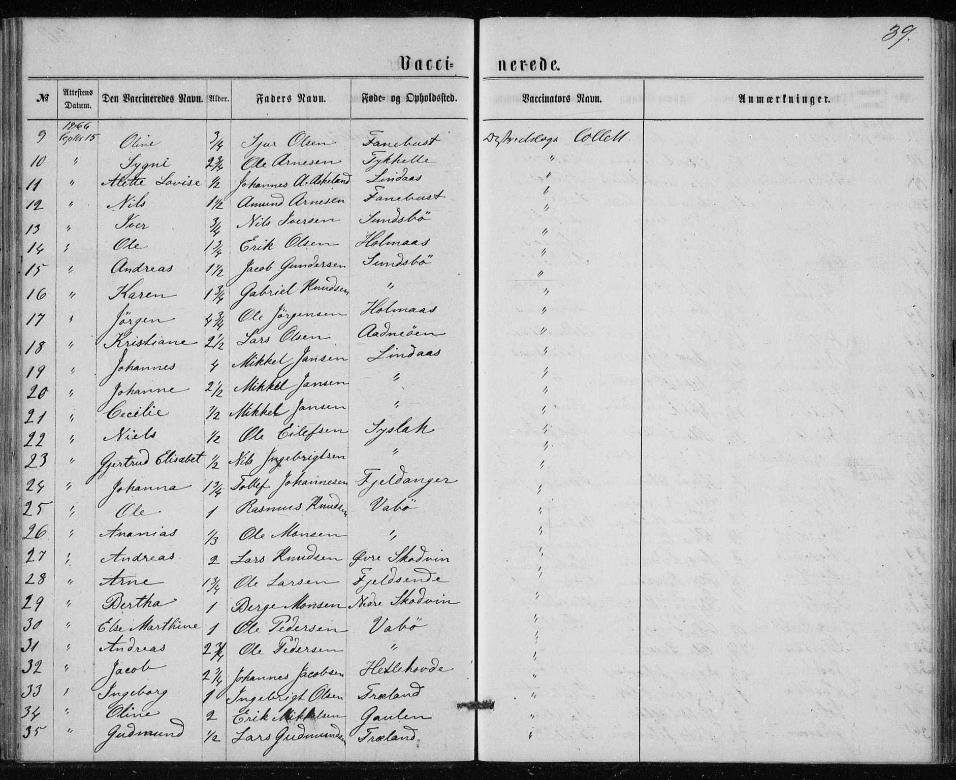Lindås Sokneprestembete, AV/SAB-A-76701/H/Haa/Haaa/L0017: Ministerialbok nr. A 17, 1874-1877, s. 39