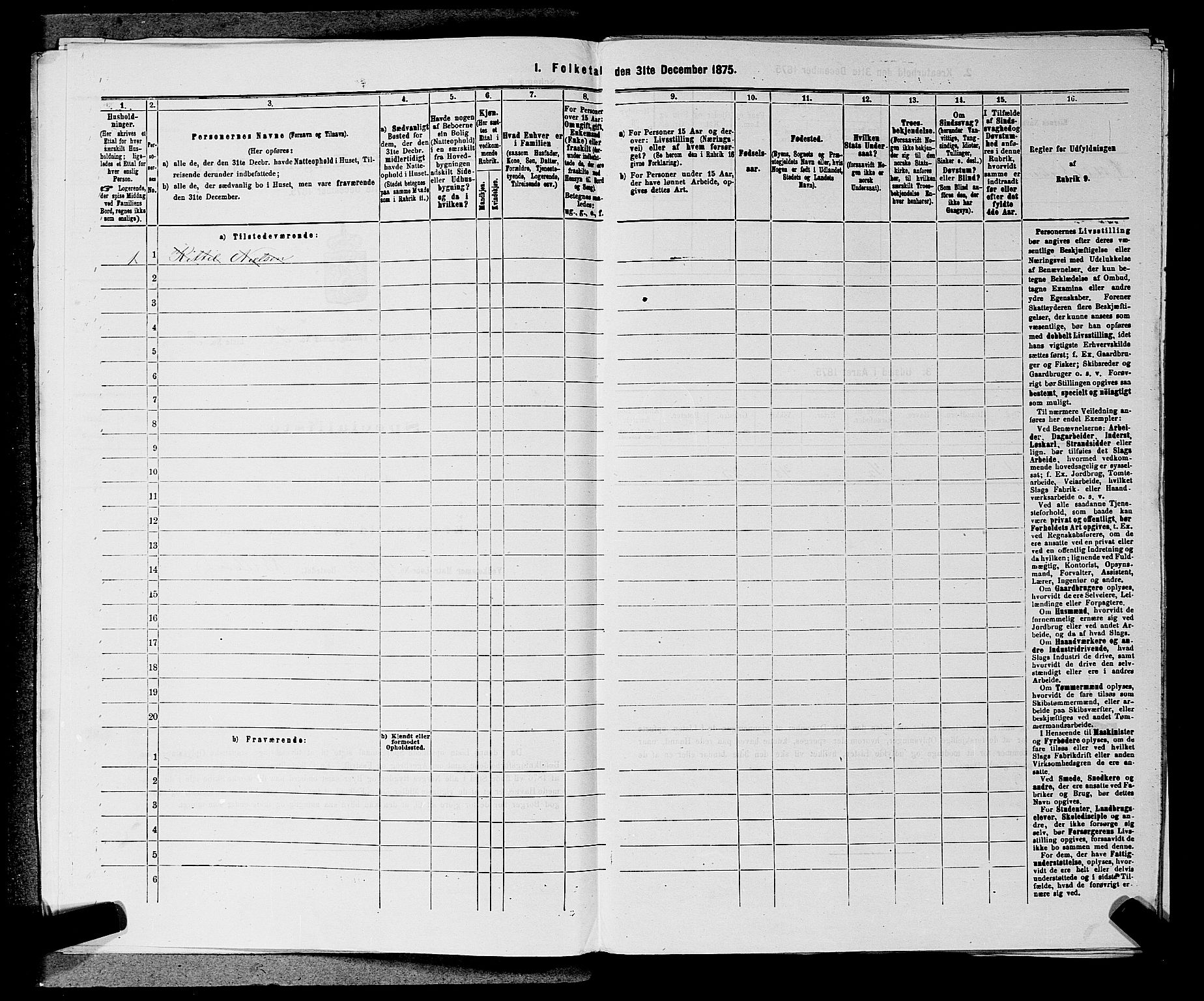 SAKO, Folketelling 1875 for 0721P Sem prestegjeld, 1875, s. 372