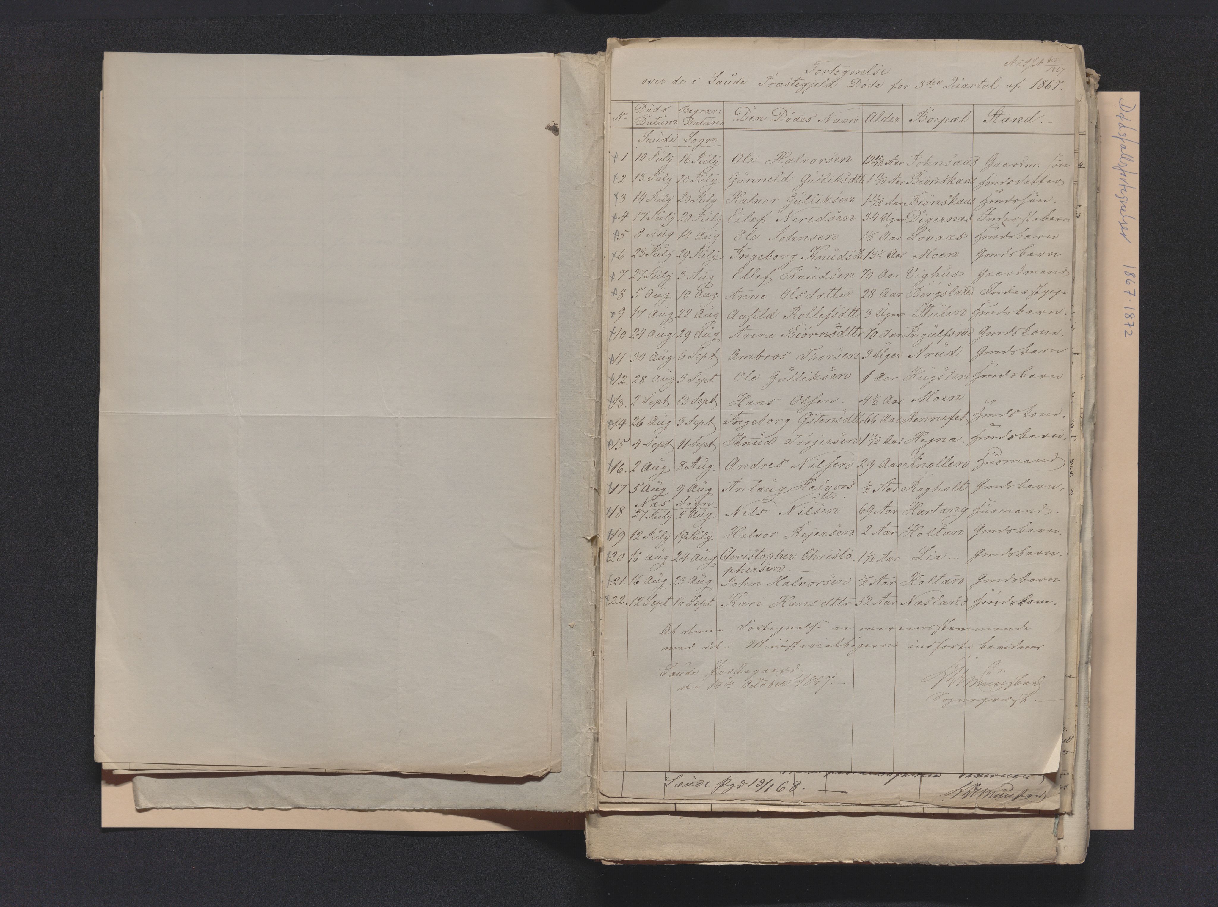 Nedre Telemark sorenskriveri, AV/SAKO-A-135/H/Ha/Hab/L0001: Dødsfallsfortegnelser
, 1867-1886, s. 6