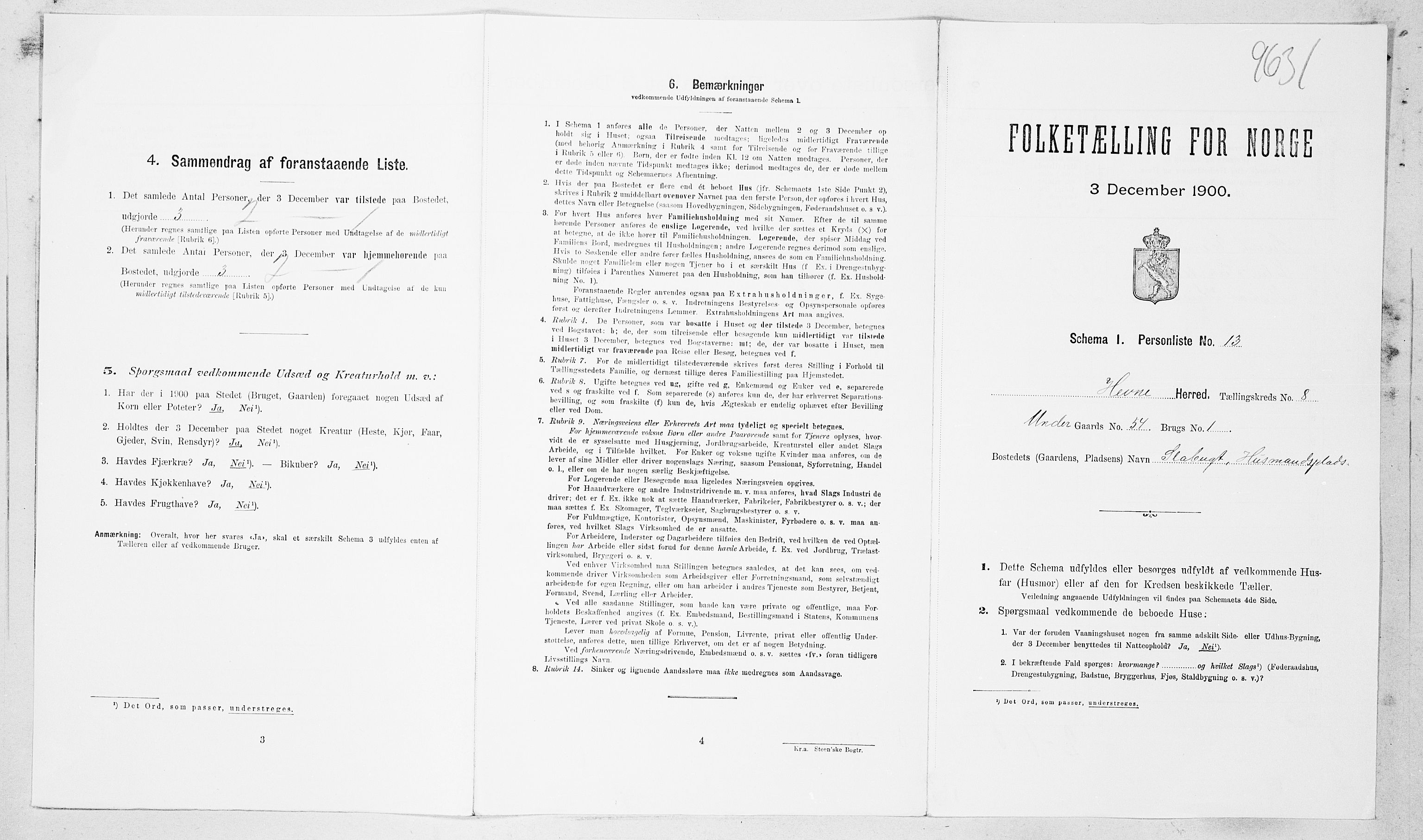 SAT, Folketelling 1900 for 1612 Hemne herred, 1900, s. 941