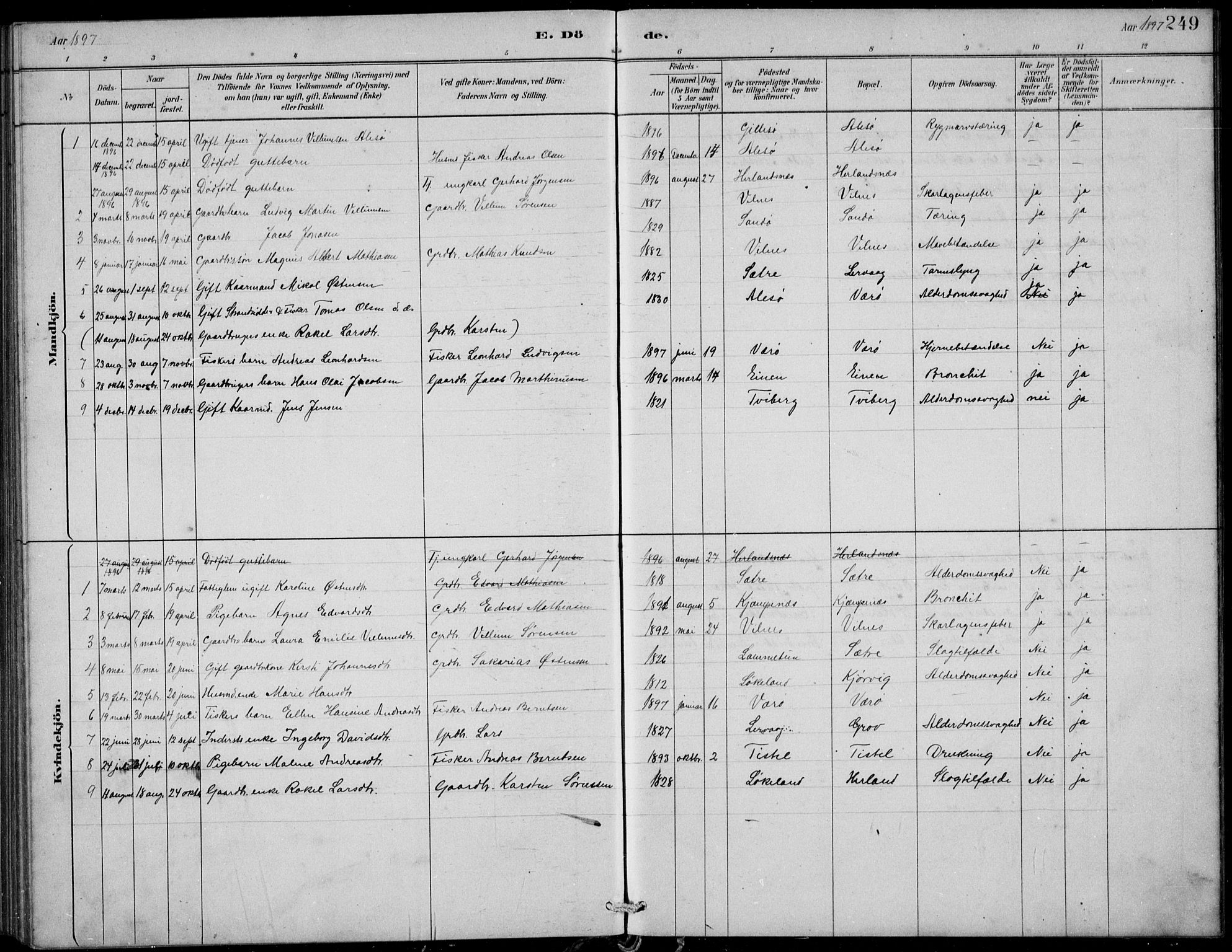 Askvoll sokneprestembete, AV/SAB-A-79501/H/Hab/Habb/L0001: Klokkerbok nr. B 1, 1879-1909, s. 249