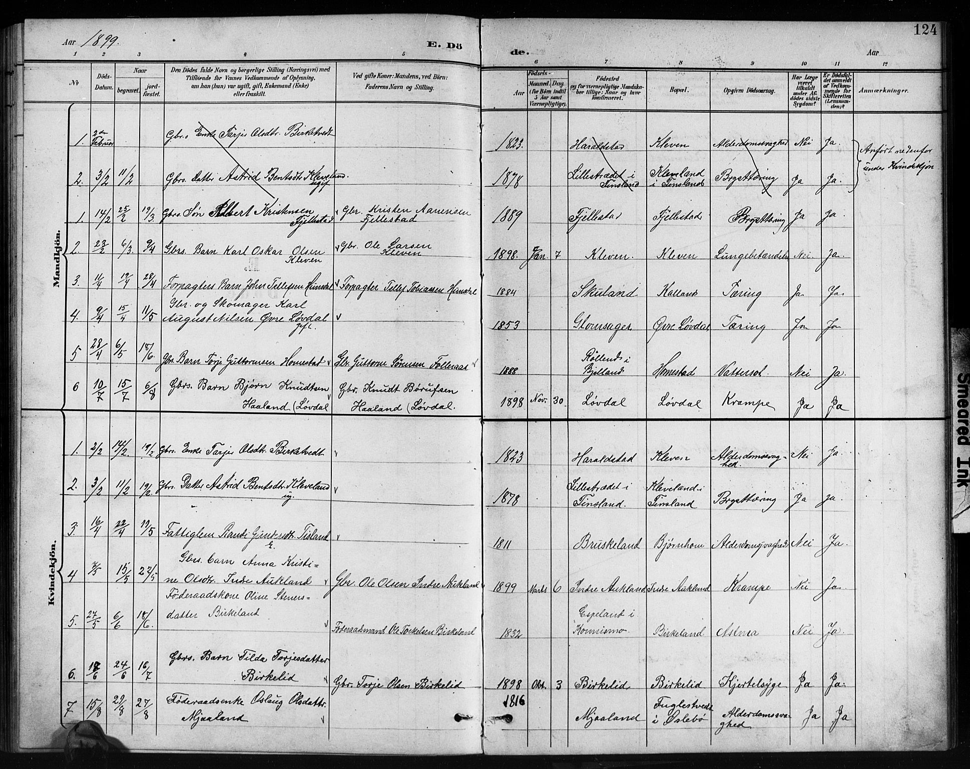 Holum sokneprestkontor, AV/SAK-1111-0022/F/Fb/Fbb/L0004: Klokkerbok nr. B 4, 1899-1920, s. 124