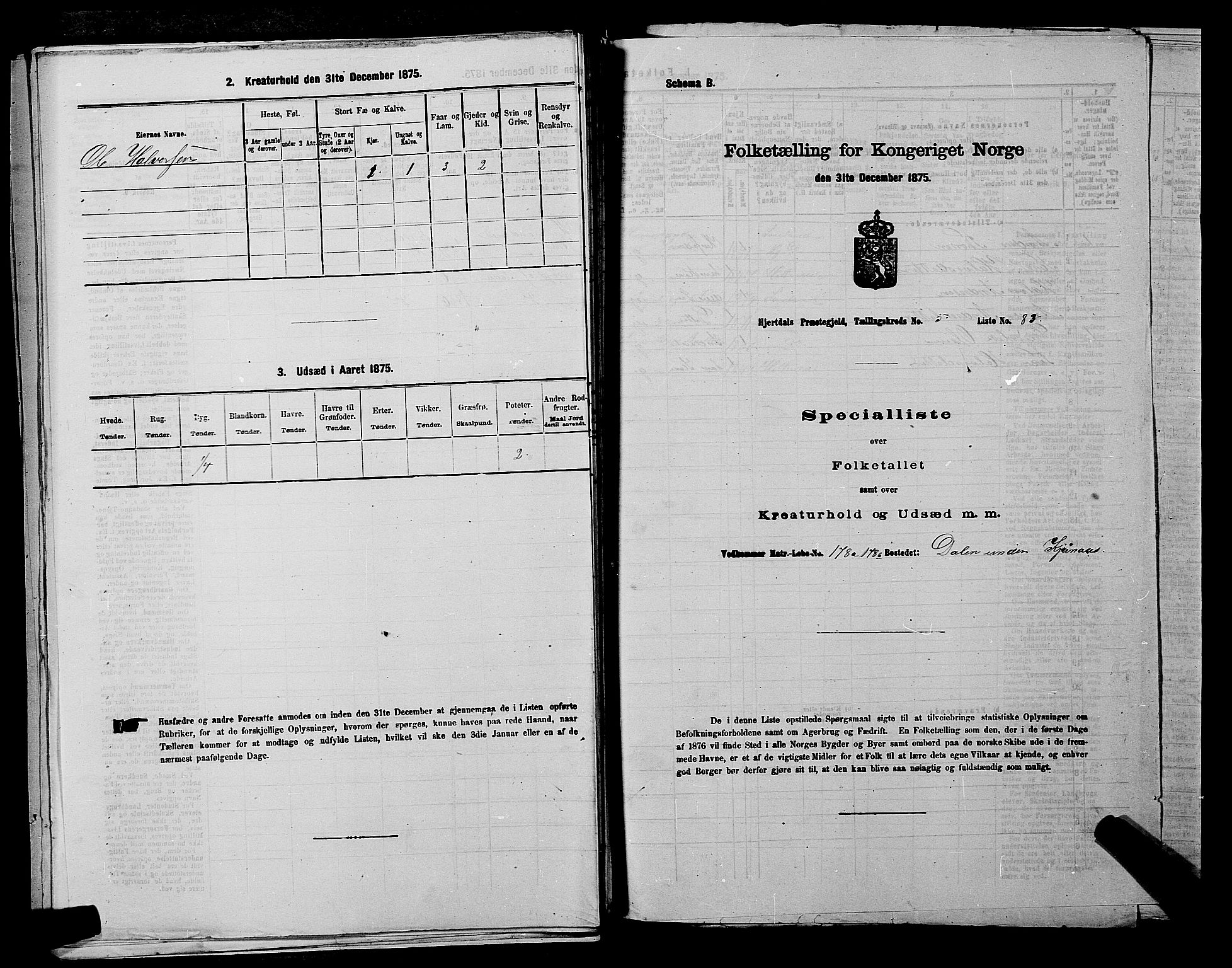 SAKO, Folketelling 1875 for 0827P Hjartdal prestegjeld, 1875, s. 814