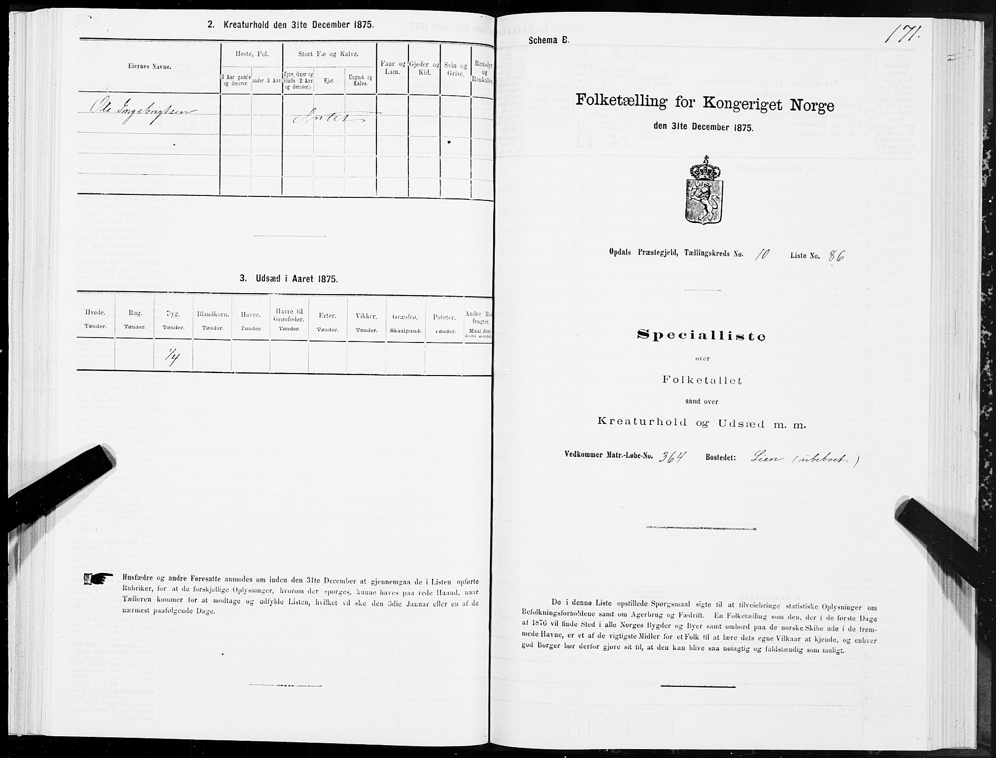 SAT, Folketelling 1875 for 1634P Oppdal prestegjeld, 1875, s. 7171