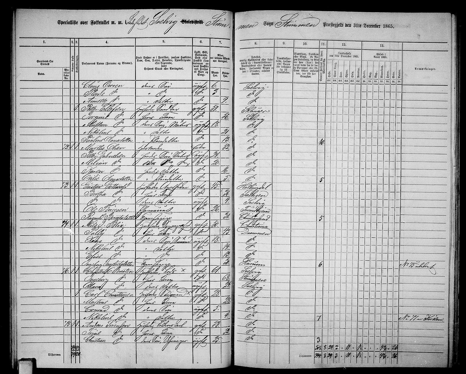 RA, Folketelling 1865 for 0711P Strømm prestegjeld, 1865, s. 79