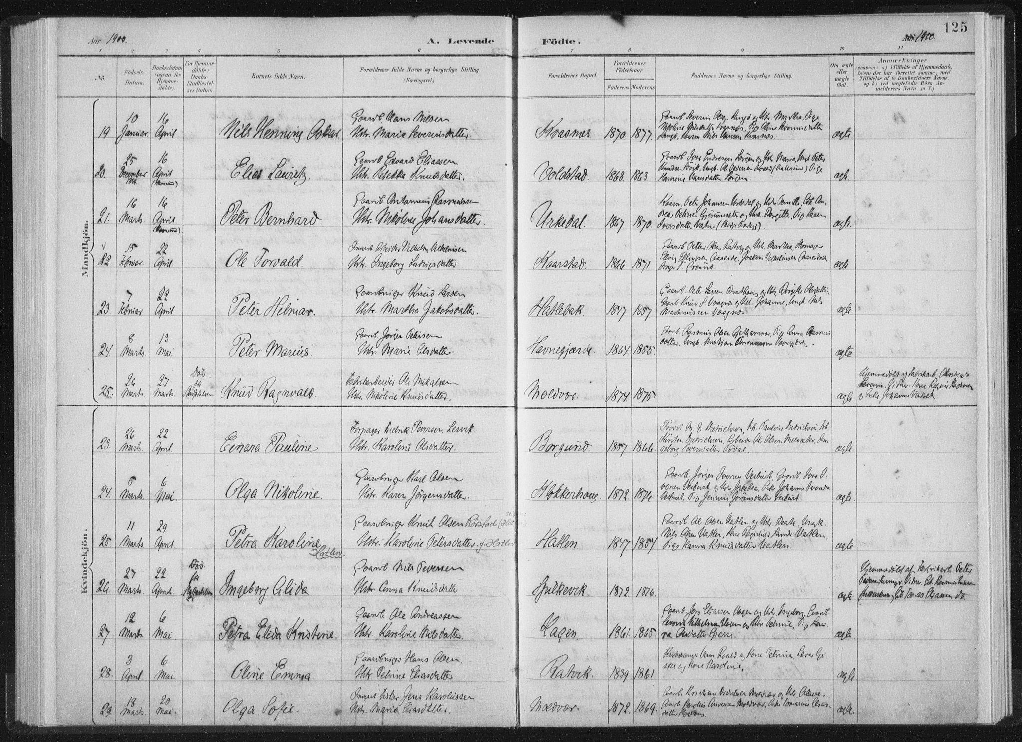 Ministerialprotokoller, klokkerbøker og fødselsregistre - Møre og Romsdal, AV/SAT-A-1454/528/L0405: Ministerialbok nr. 528A14, 1891-1906, s. 125