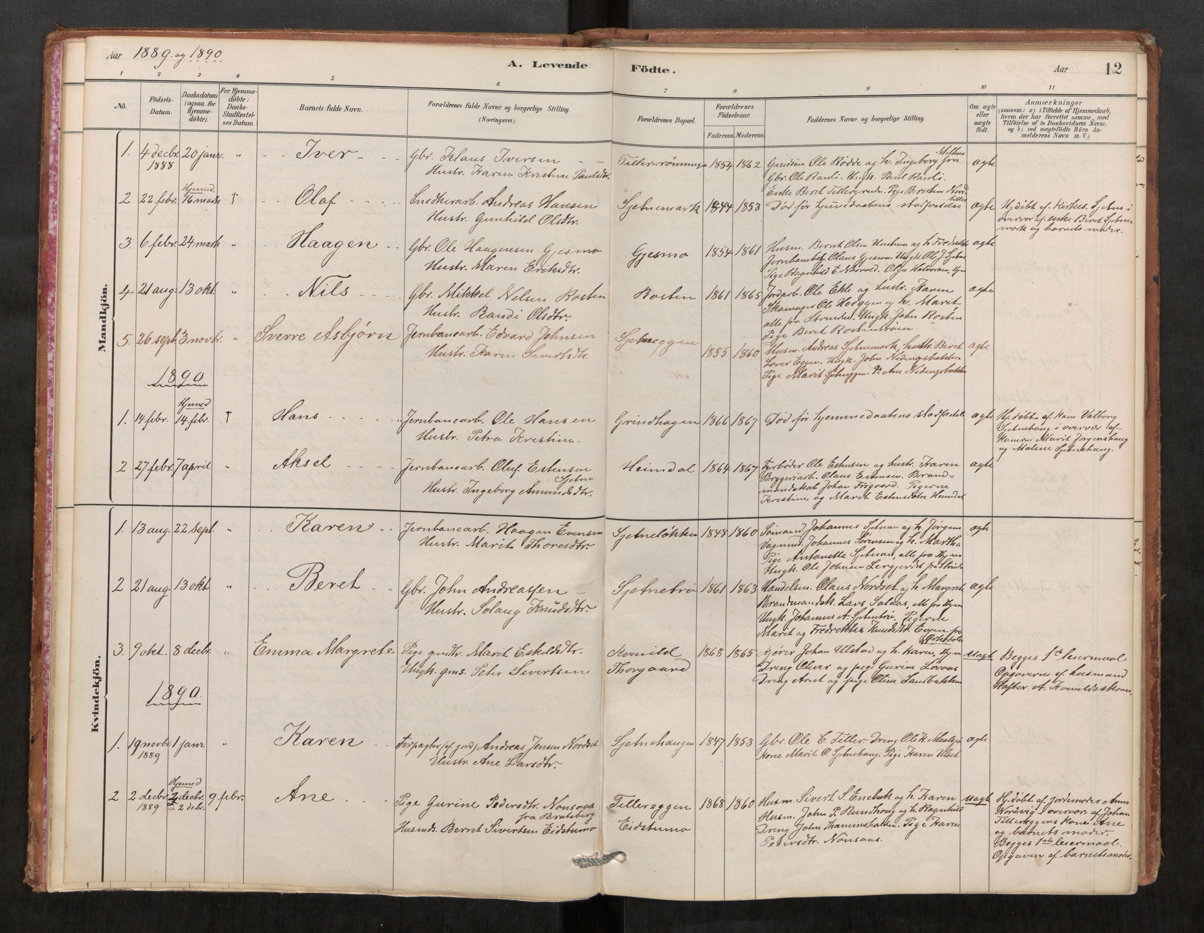 Klæbu sokneprestkontor, AV/SAT-A-1112: Ministerialbok nr. 1, 1880-1900, s. 12