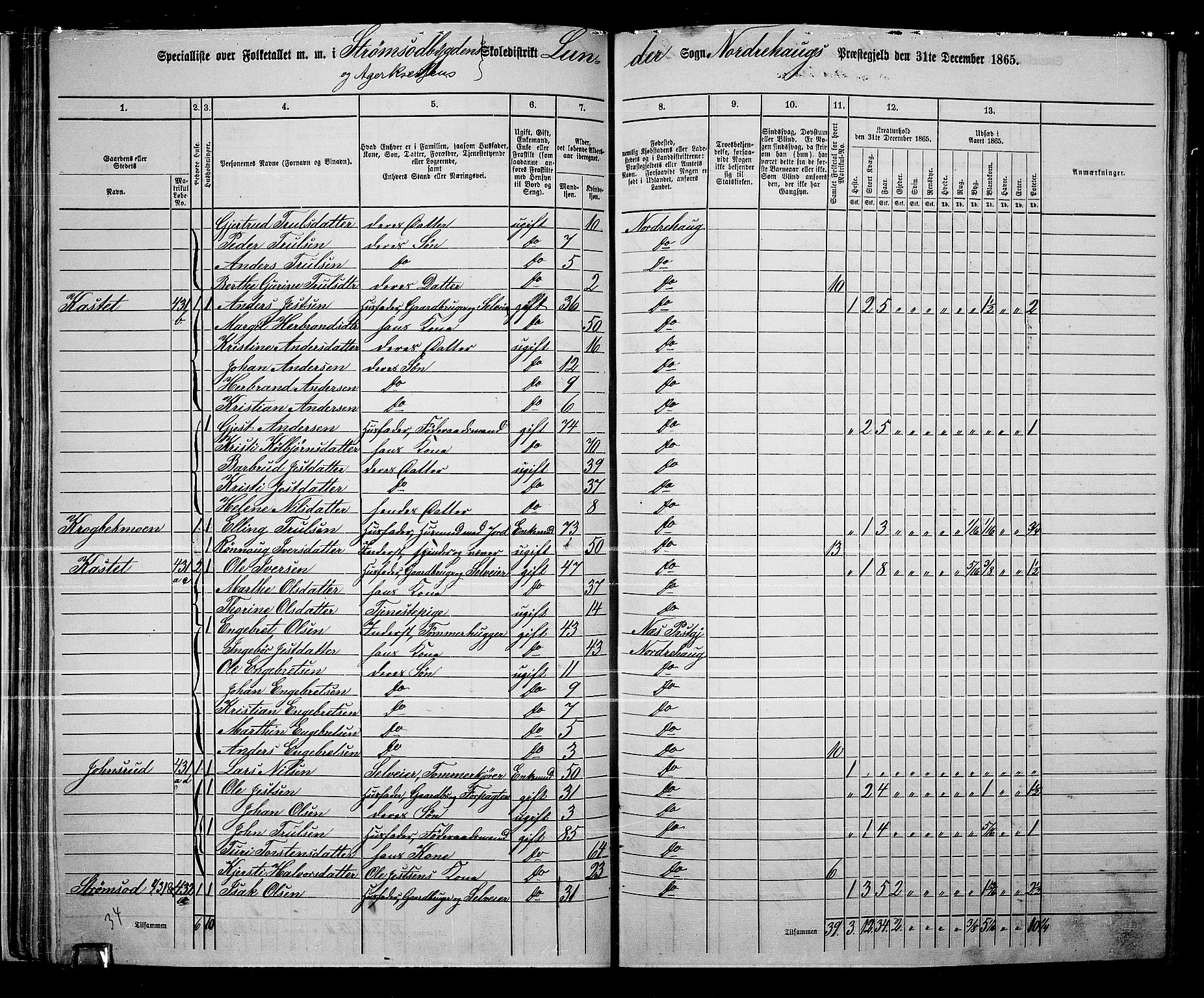 RA, Folketelling 1865 for 0613L Norderhov prestegjeld, Norderhov sokn, Haug sokn og Lunder sokn, 1865, s. 51