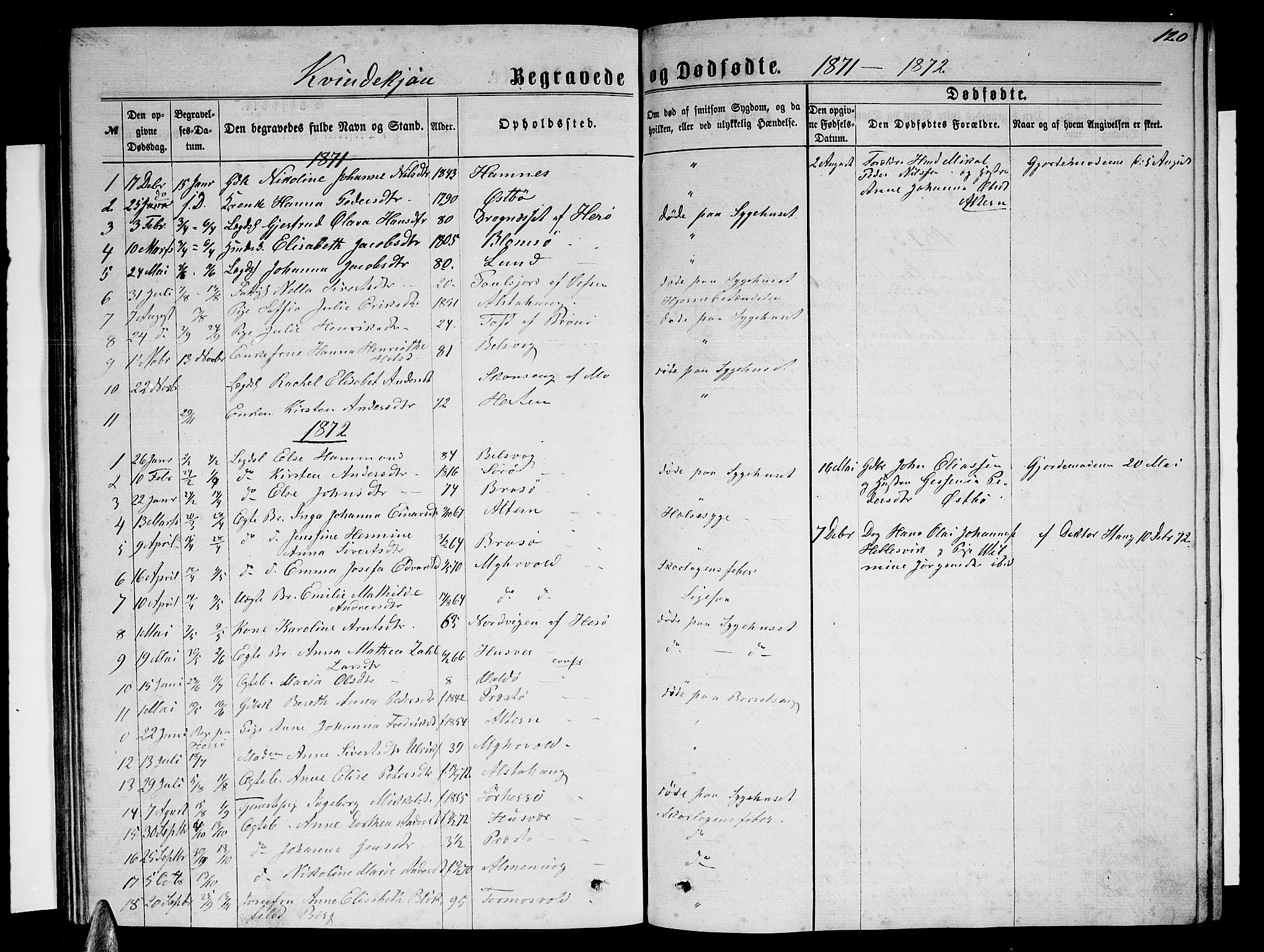 Ministerialprotokoller, klokkerbøker og fødselsregistre - Nordland, AV/SAT-A-1459/830/L0461: Klokkerbok nr. 830C03, 1866-1881, s. 120