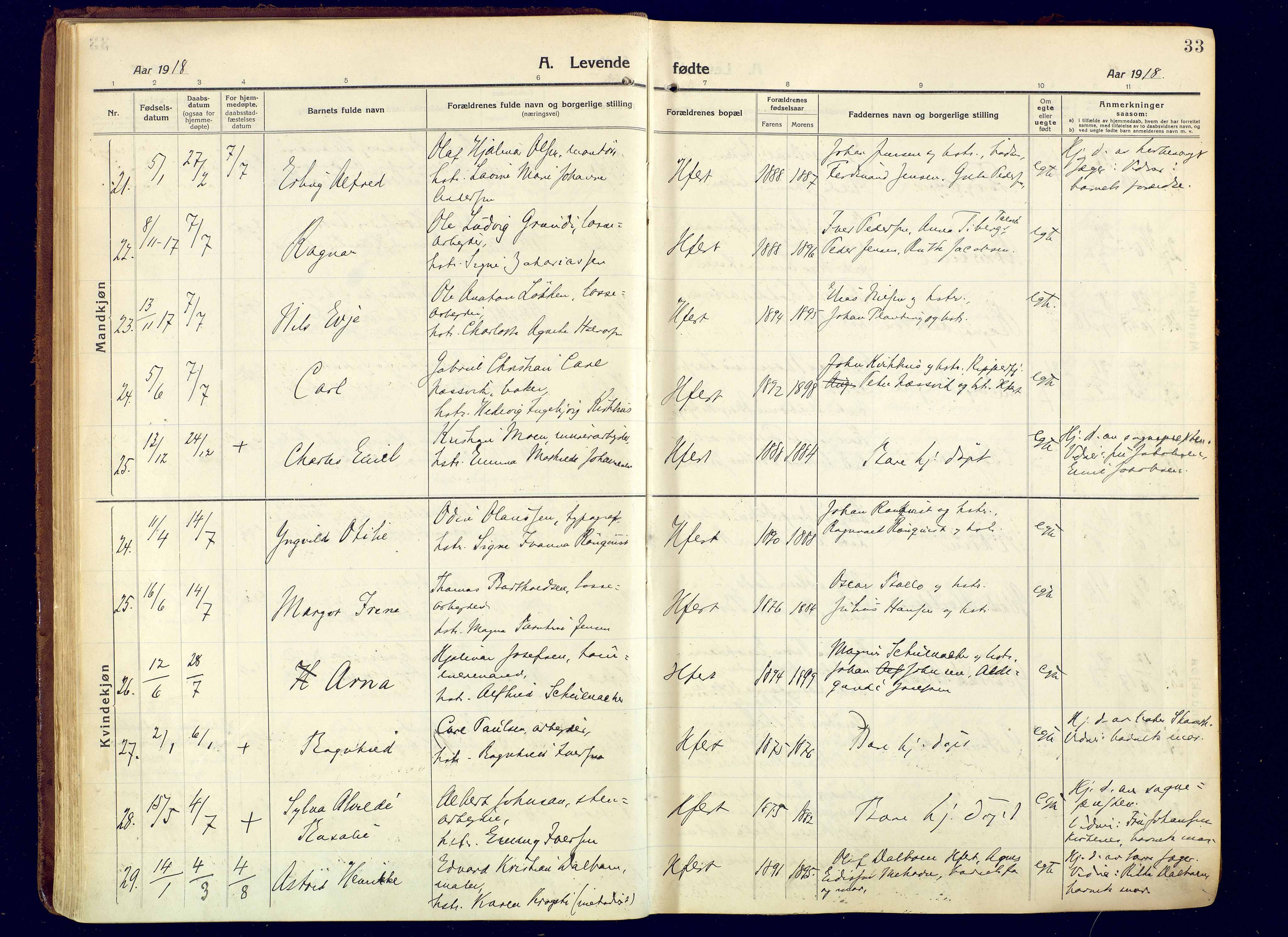 Hammerfest sokneprestkontor, AV/SATØ-S-1347/H/Ha/L0015.kirke: Ministerialbok nr. 15, 1916-1923, s. 33