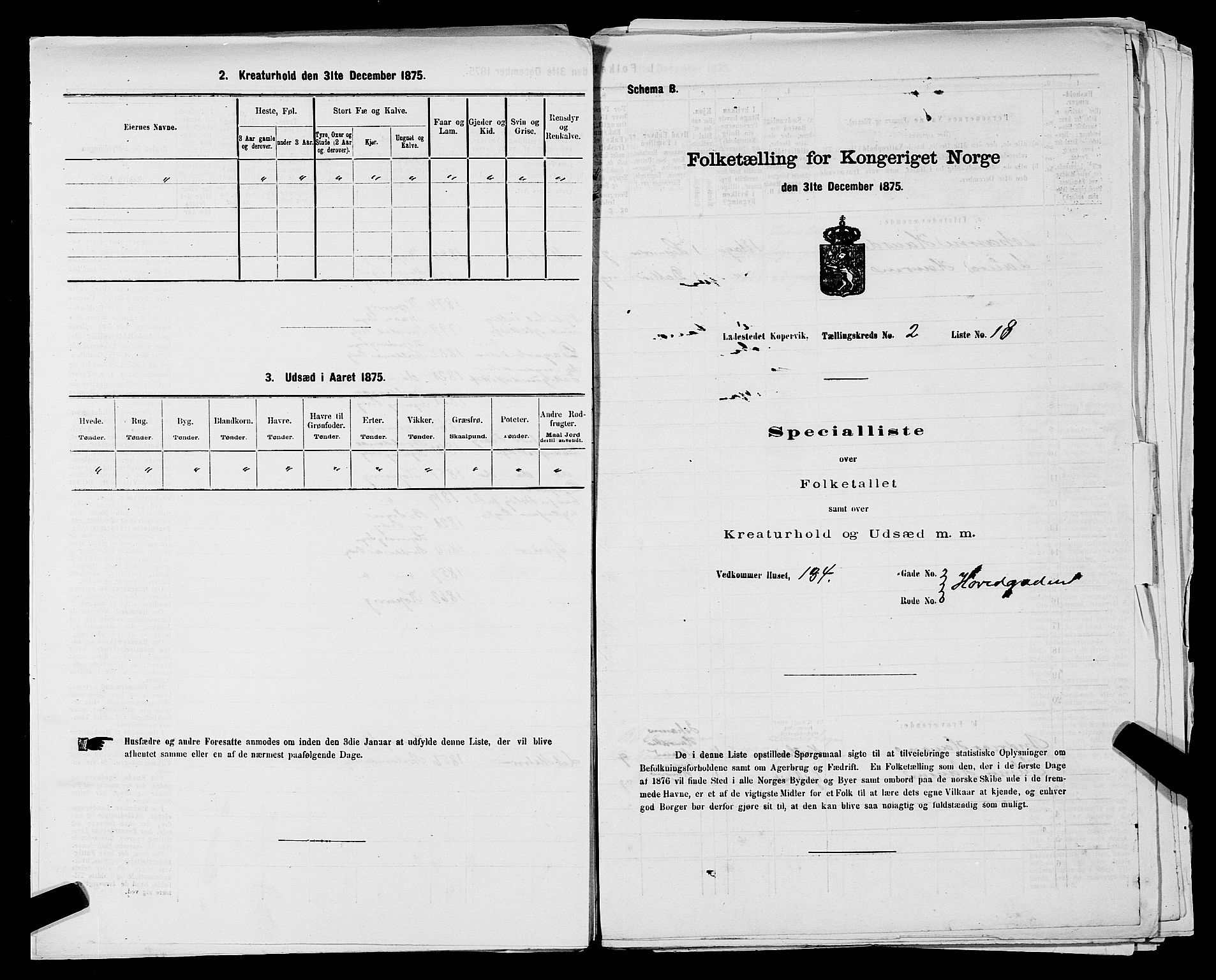 SAST, Folketelling 1875 for 1105B Avaldsnes prestegjeld, Kopervik ladested, 1875, s. 38