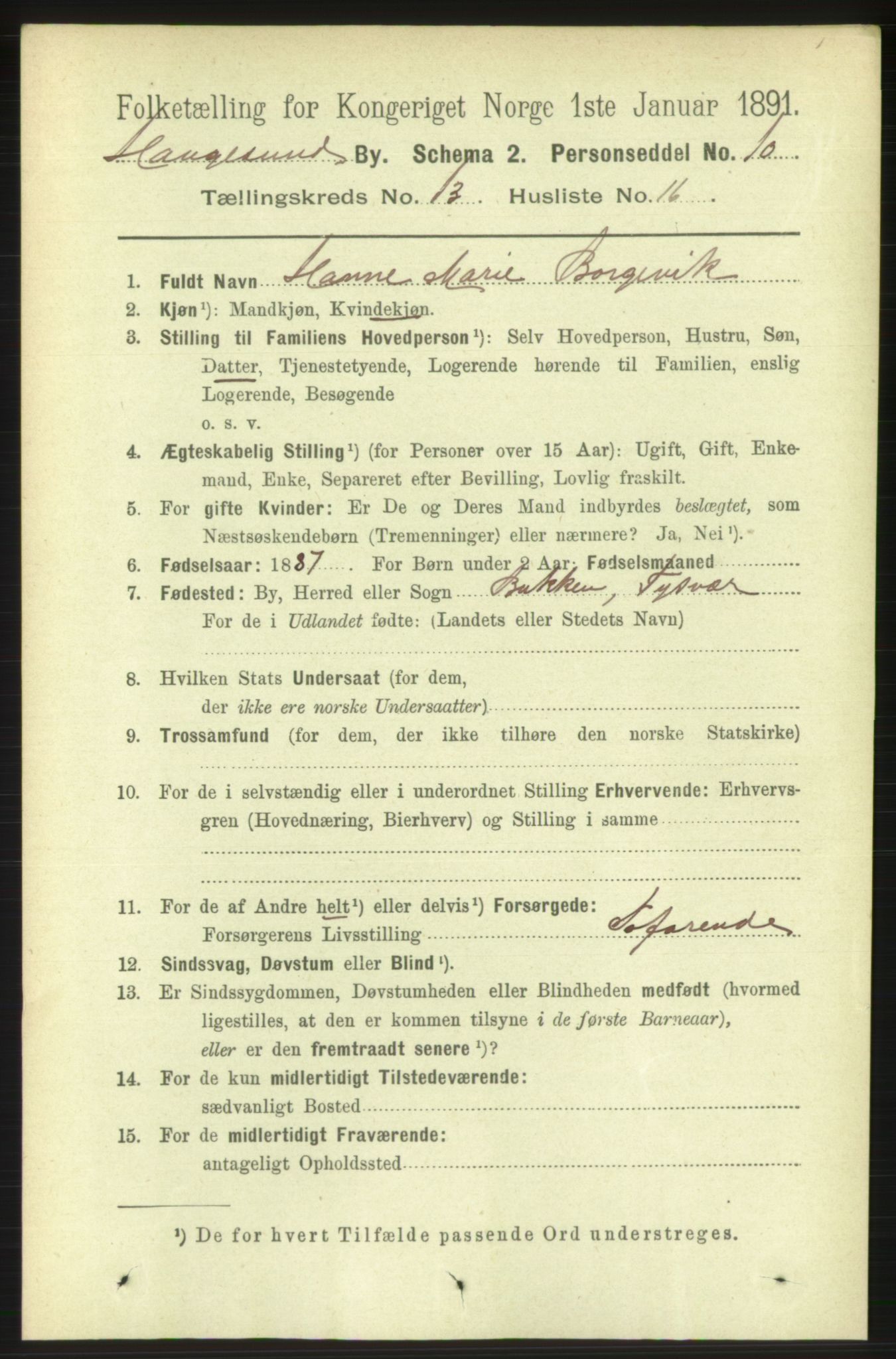 RA, Folketelling 1891 for 1106 Haugesund kjøpstad, 1891, s. 4458