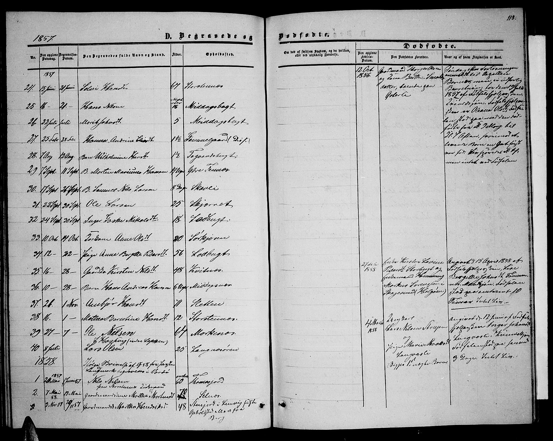 Balsfjord sokneprestembete, AV/SATØ-S-1303/G/Gab/L0005klokker: Klokkerbok nr. 5, 1856-1862, s. 113