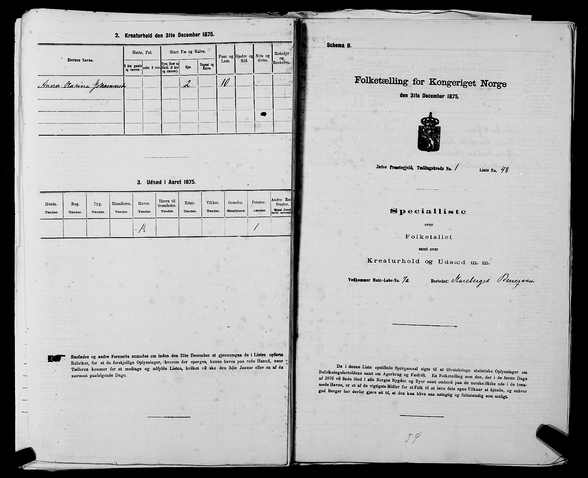 SAST, Folketelling 1875 for 1138P Jelsa prestegjeld, 1875, s. 102