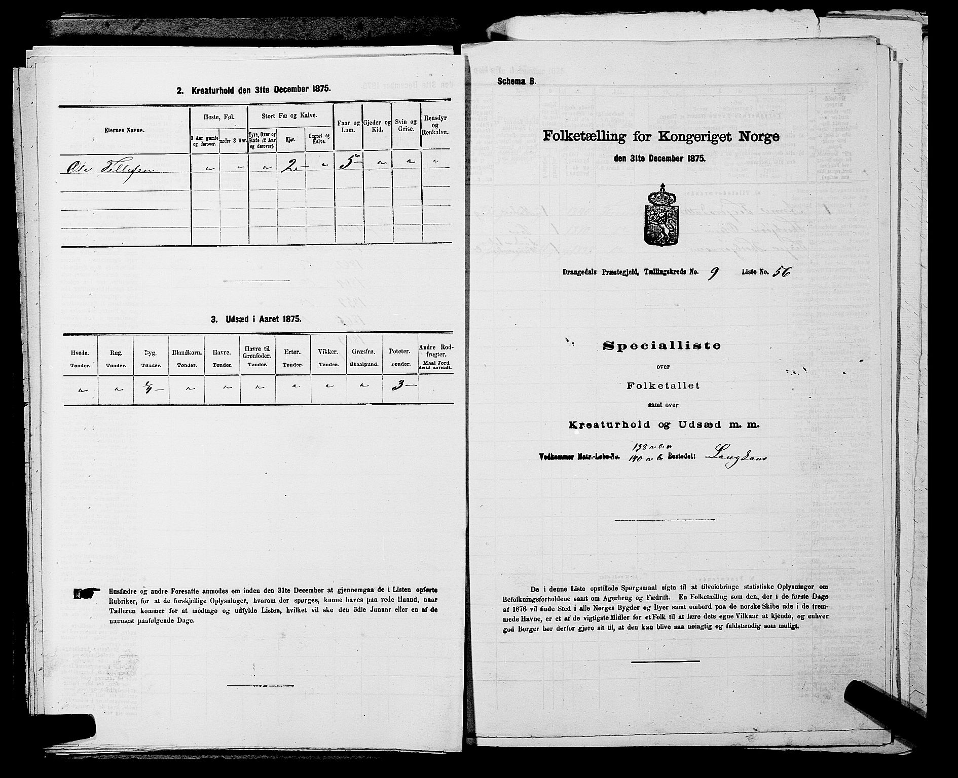 SAKO, Folketelling 1875 for 0817P Drangedal prestegjeld, 1875, s. 988