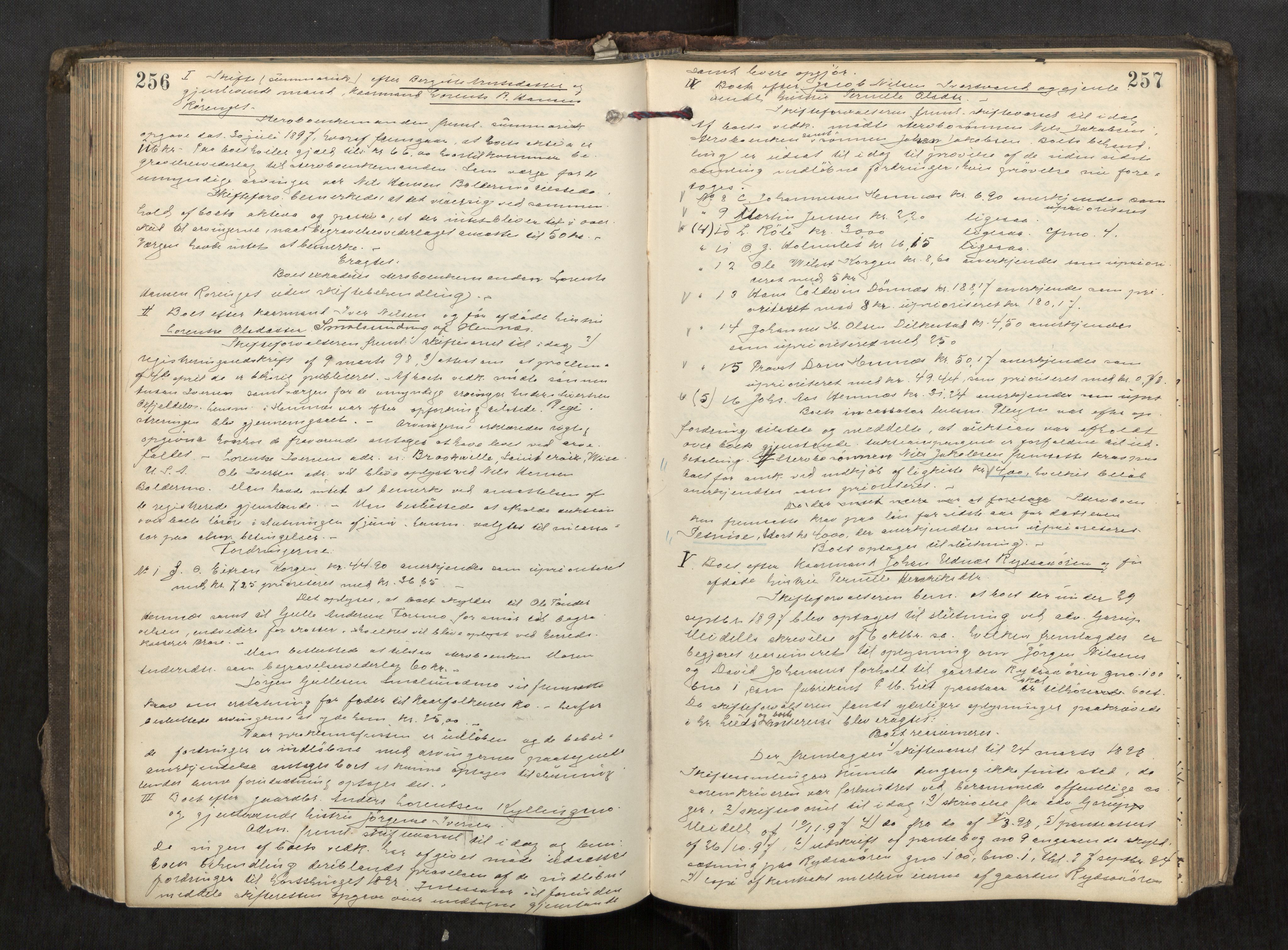 Rana sorenskriveri , AV/SAT-A-1108/1/3/3B/L0006: Skiftebehandlingsprotokoll, 1892-1901, s. 256-257