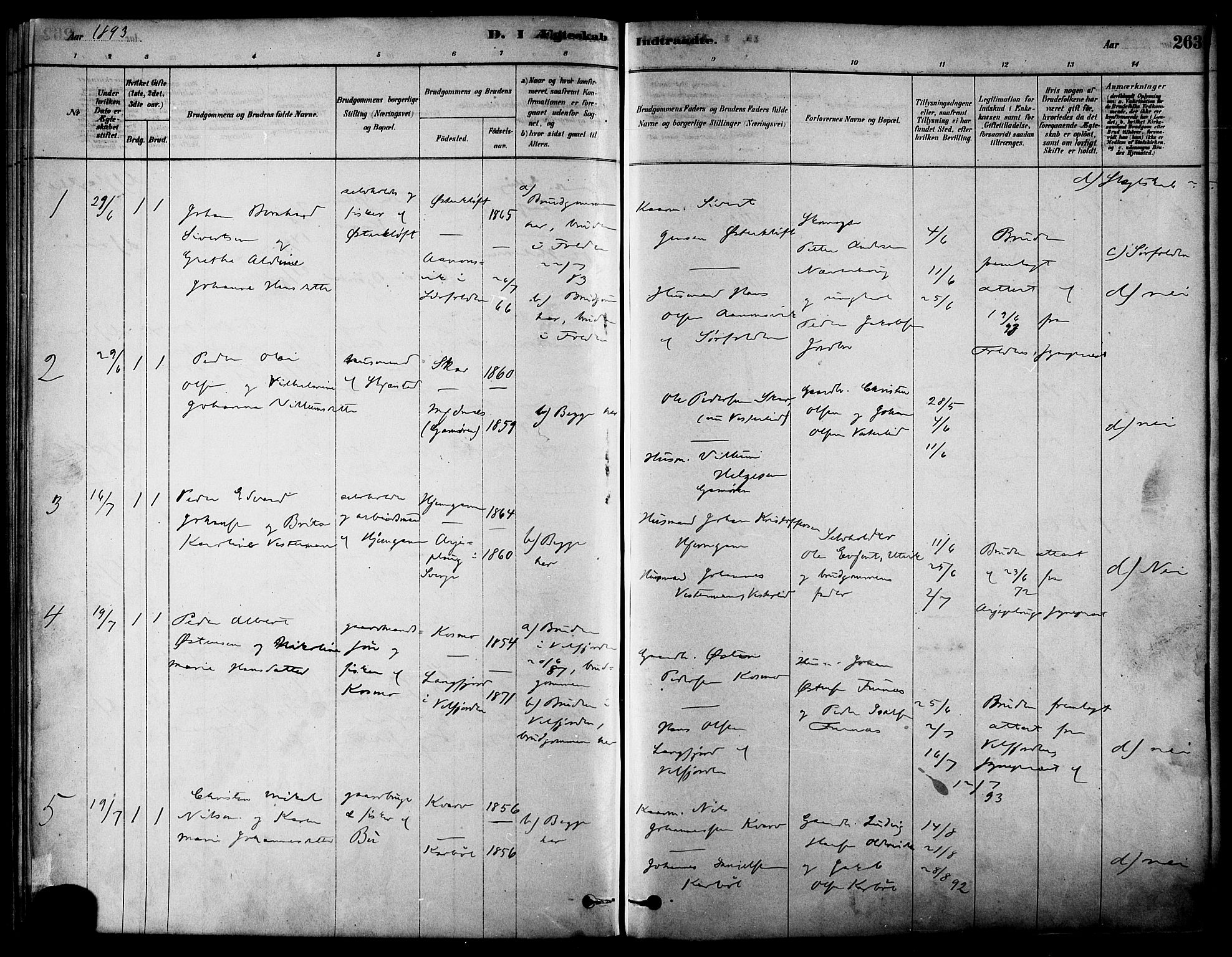 Ministerialprotokoller, klokkerbøker og fødselsregistre - Nordland, AV/SAT-A-1459/852/L0740: Ministerialbok nr. 852A10, 1878-1894, s. 263