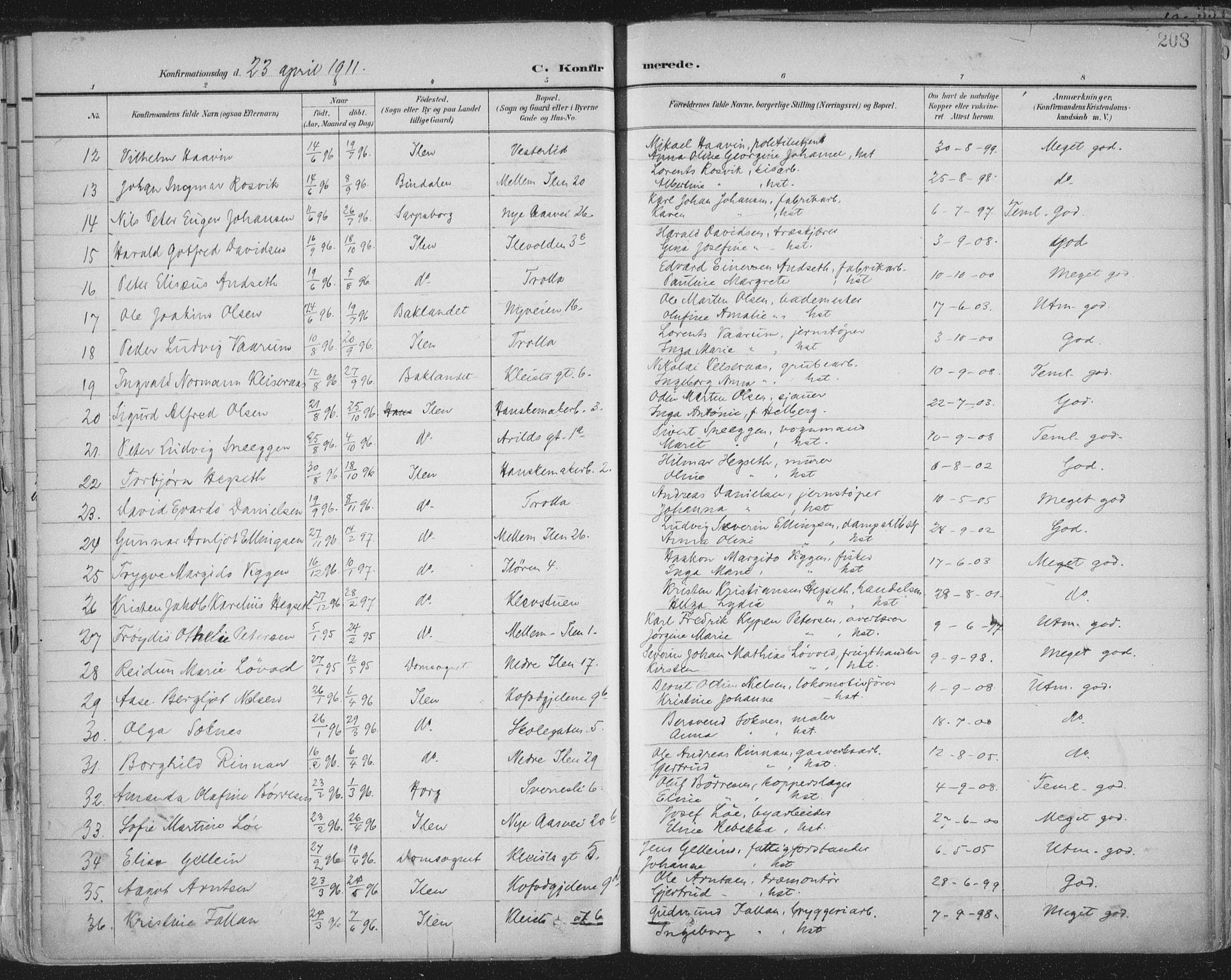 Ministerialprotokoller, klokkerbøker og fødselsregistre - Sør-Trøndelag, AV/SAT-A-1456/603/L0167: Ministerialbok nr. 603A06, 1896-1932, s. 208
