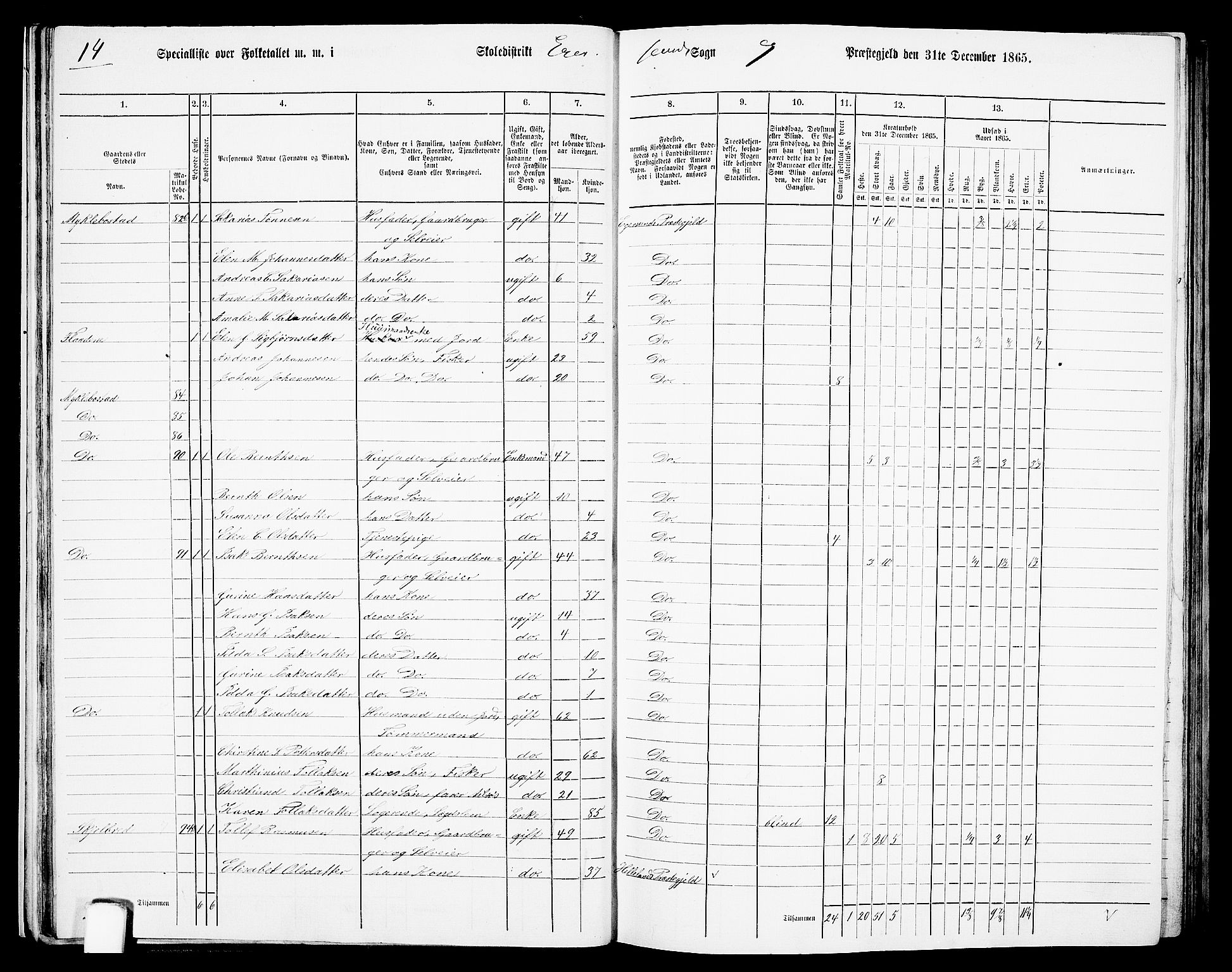 RA, Folketelling 1865 for 1116L Eigersund prestegjeld, Eigersund landsokn og Ogna sokn, 1865, s. 31