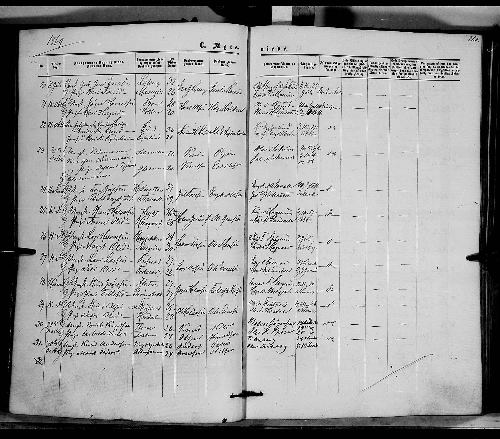 Nord-Aurdal prestekontor, AV/SAH-PREST-132/H/Ha/Haa/L0008: Ministerialbok nr. 8, 1863-1875, s. 260