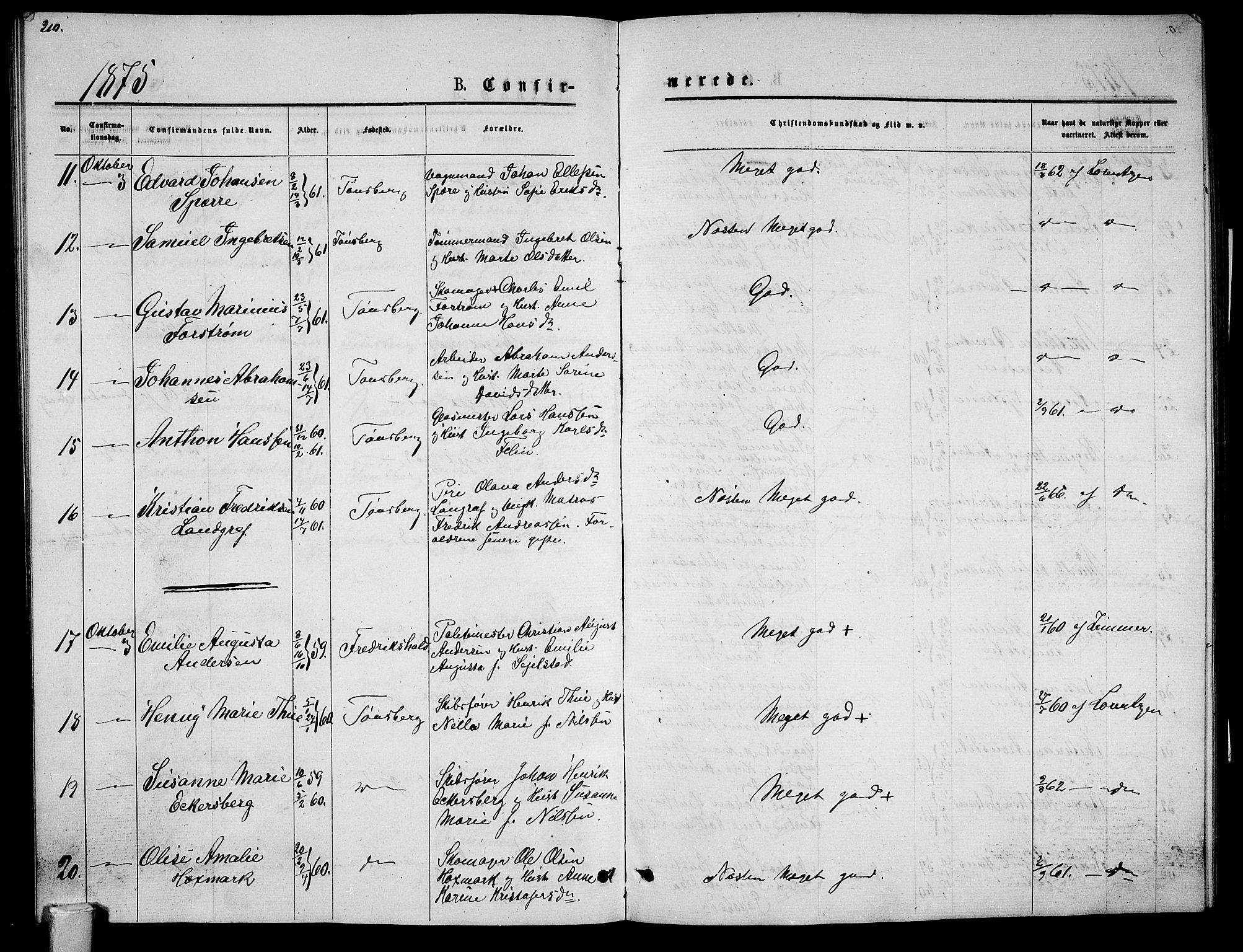 Tønsberg kirkebøker, AV/SAKO-A-330/G/Ga/L0005: Klokkerbok nr. 5, 1875-1885, s. 210