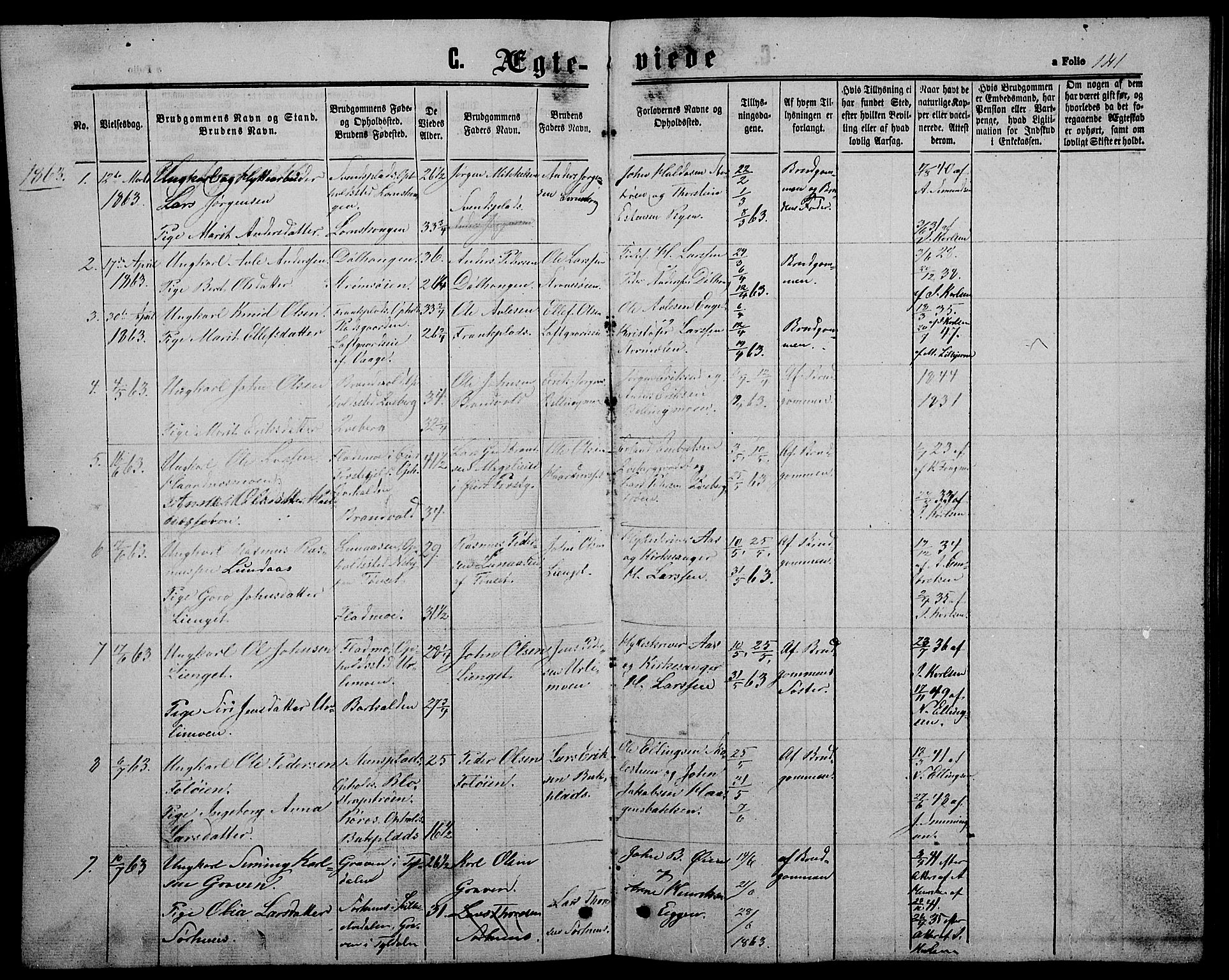 Alvdal prestekontor, AV/SAH-PREST-060/H/Ha/Hab/L0002: Klokkerbok nr. 2, 1863-1878, s. 141