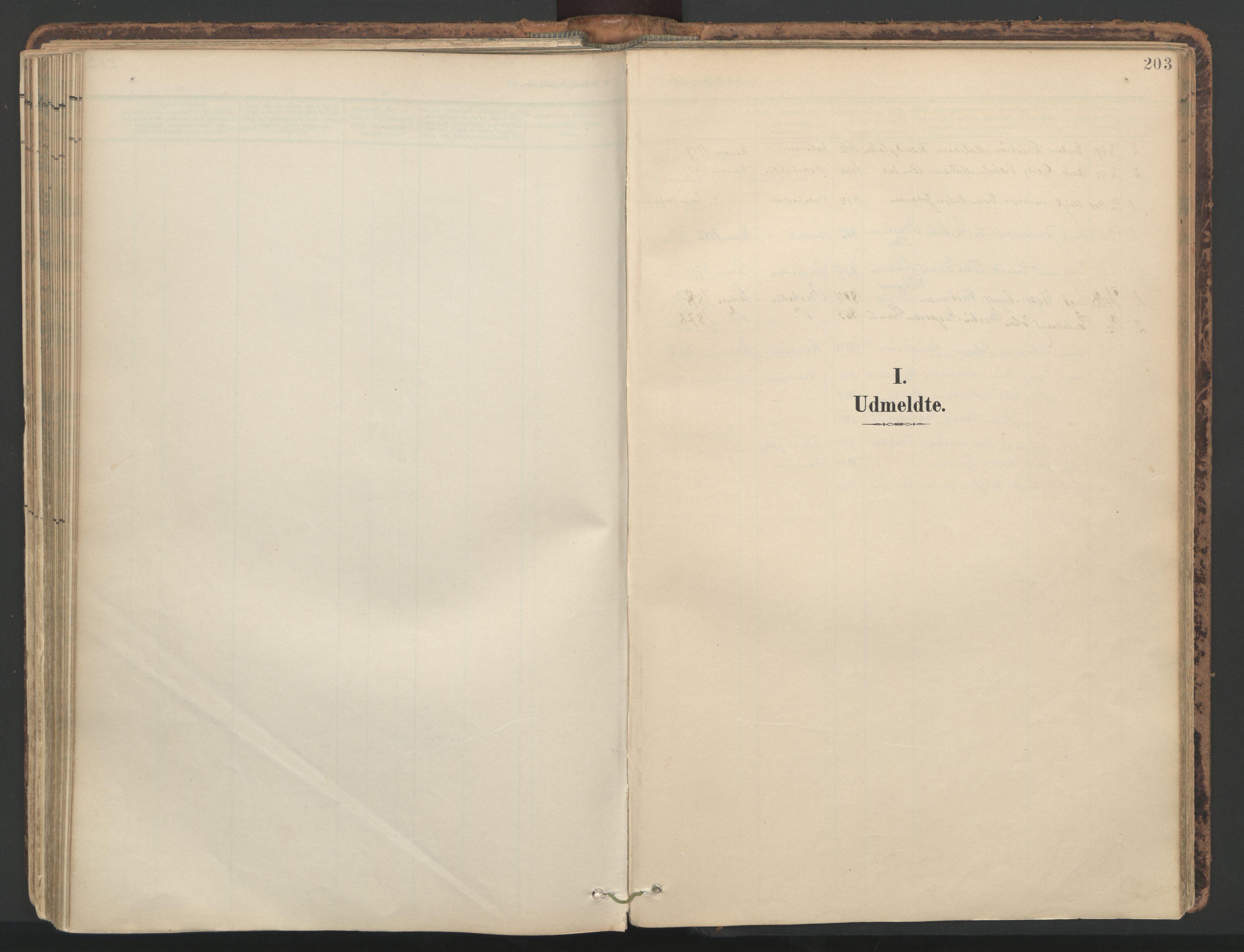 Ministerialprotokoller, klokkerbøker og fødselsregistre - Nord-Trøndelag, AV/SAT-A-1458/764/L0556: Ministerialbok nr. 764A11, 1897-1924, s. 203