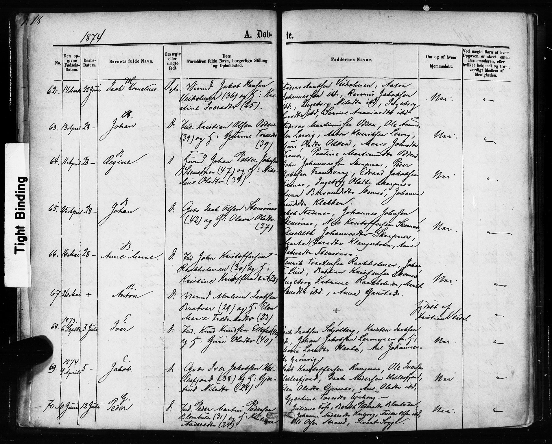 Ministerialprotokoller, klokkerbøker og fødselsregistre - Møre og Romsdal, SAT/A-1454/581/L0938: Ministerialbok nr. 581A06, 1873-1879, s. 18