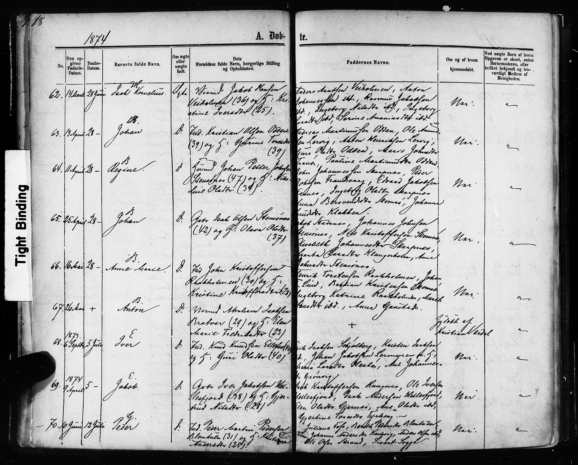 Ministerialprotokoller, klokkerbøker og fødselsregistre - Møre og Romsdal, AV/SAT-A-1454/581/L0938: Ministerialbok nr. 581A06, 1873-1879, s. 18