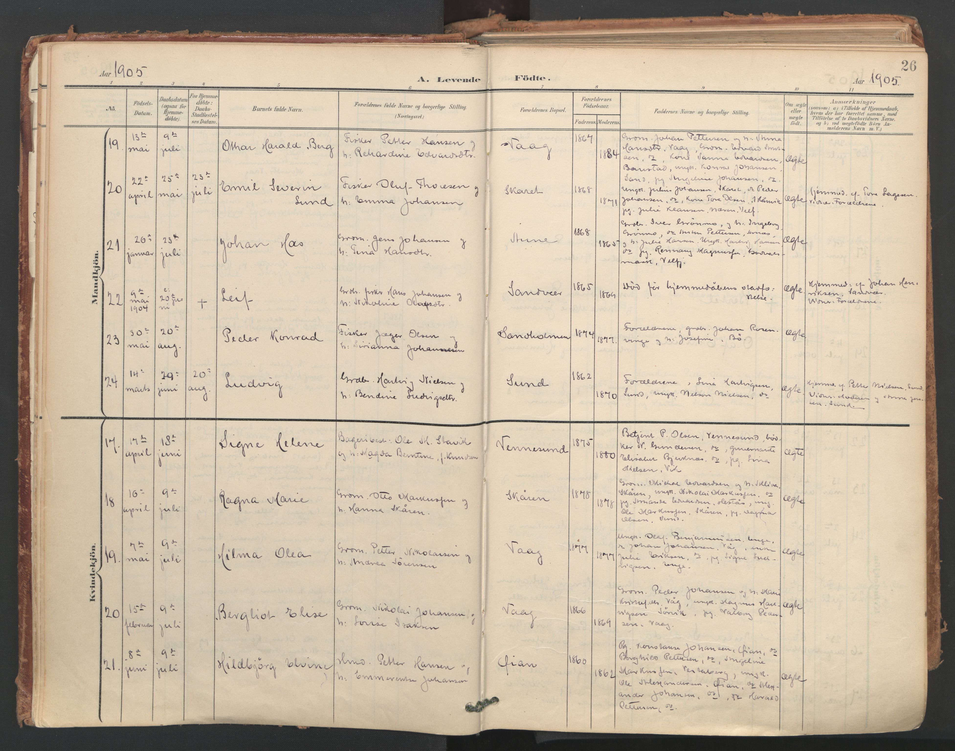 Ministerialprotokoller, klokkerbøker og fødselsregistre - Nordland, AV/SAT-A-1459/812/L0180: Ministerialbok nr. 812A09, 1901-1915, s. 26