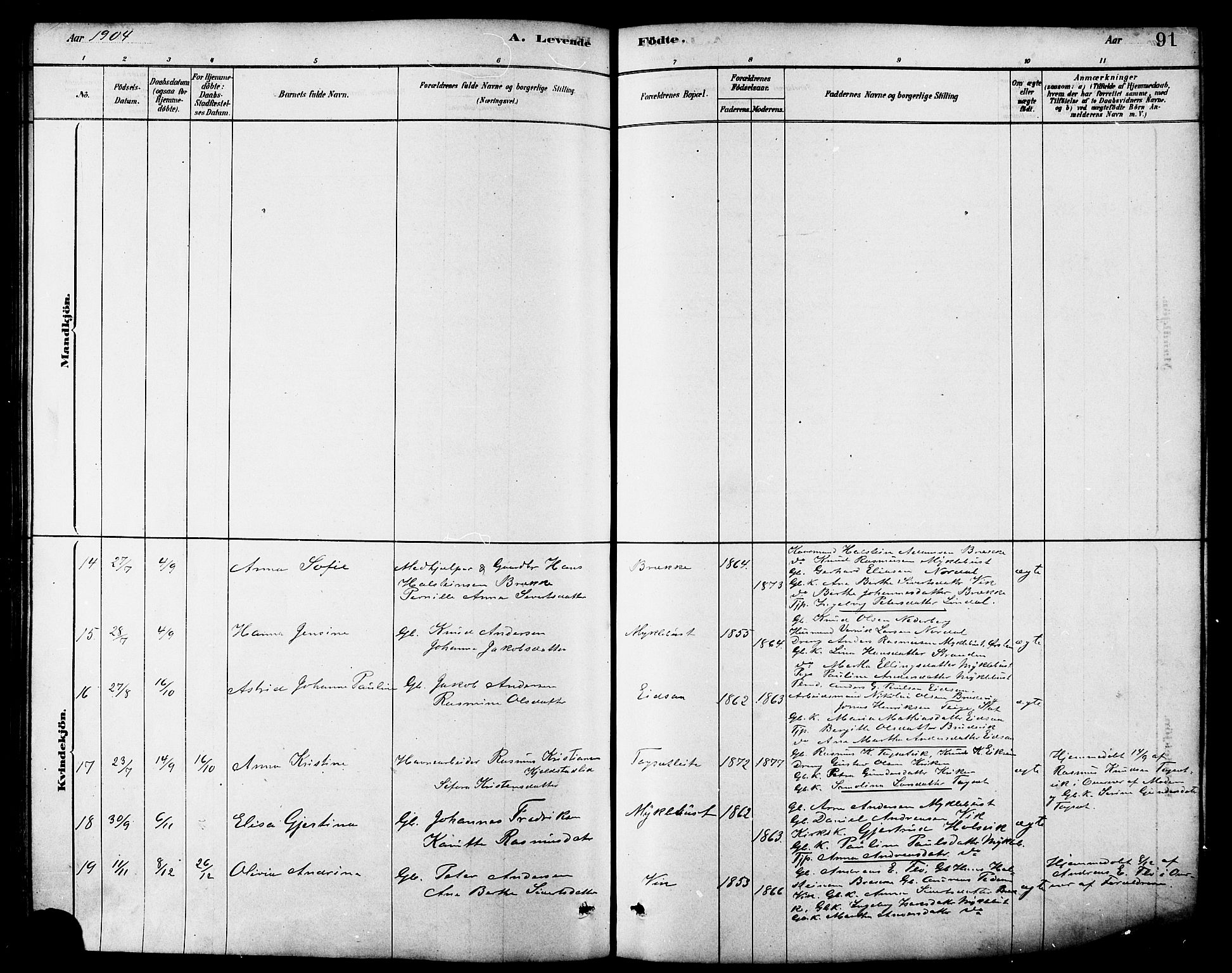 Ministerialprotokoller, klokkerbøker og fødselsregistre - Møre og Romsdal, AV/SAT-A-1454/502/L0027: Klokkerbok nr. 502C01, 1878-1908, s. 91