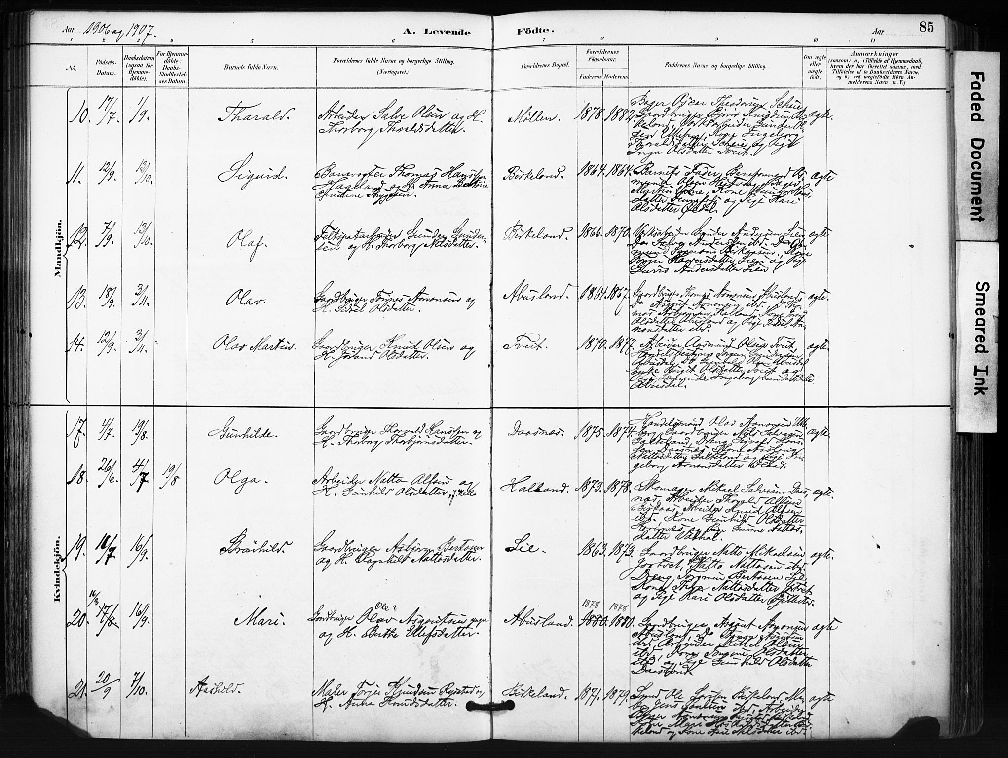 Evje sokneprestkontor, SAK/1111-0008/F/Fa/Fab/L0003: Ministerialbok nr. A 3, 1884-1909, s. 85