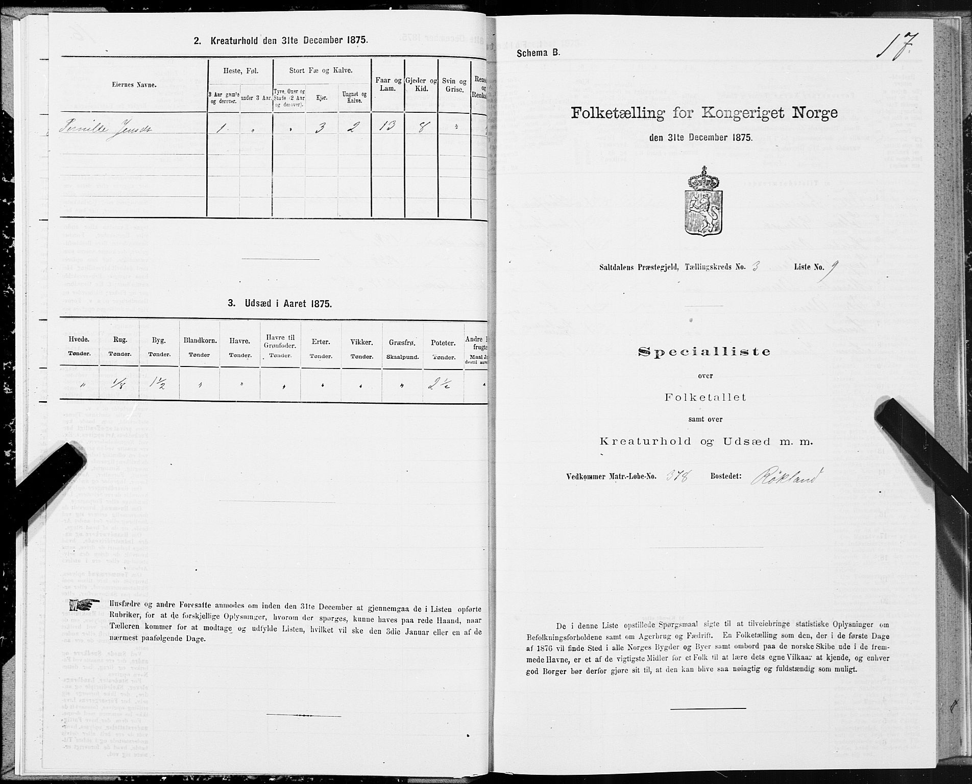 SAT, Folketelling 1875 for 1840P Saltdal prestegjeld, 1875, s. 2017